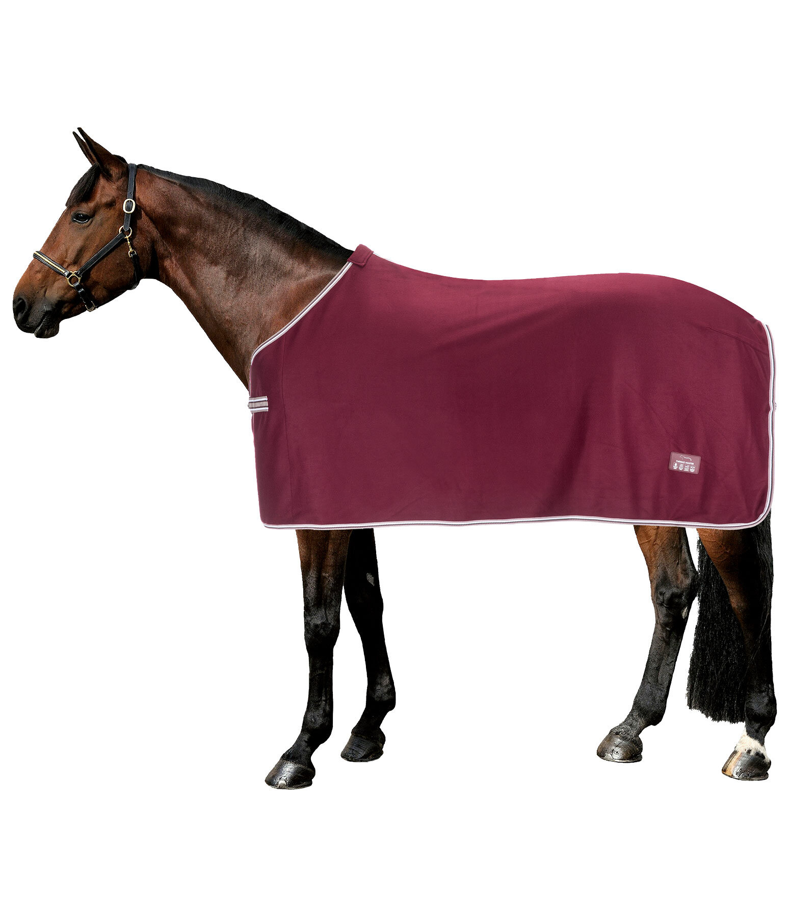 Couverture polaire  Economic