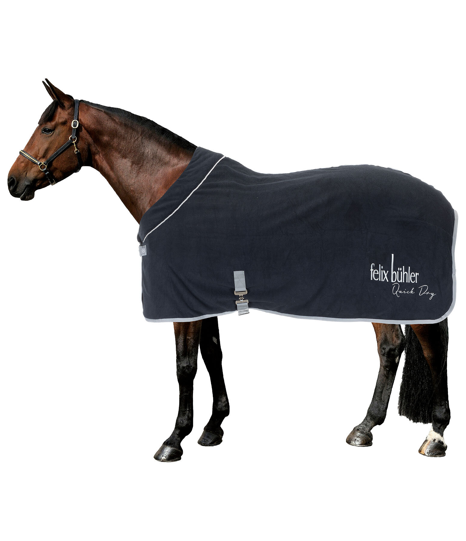 Chemise schante technique  Quick Dry