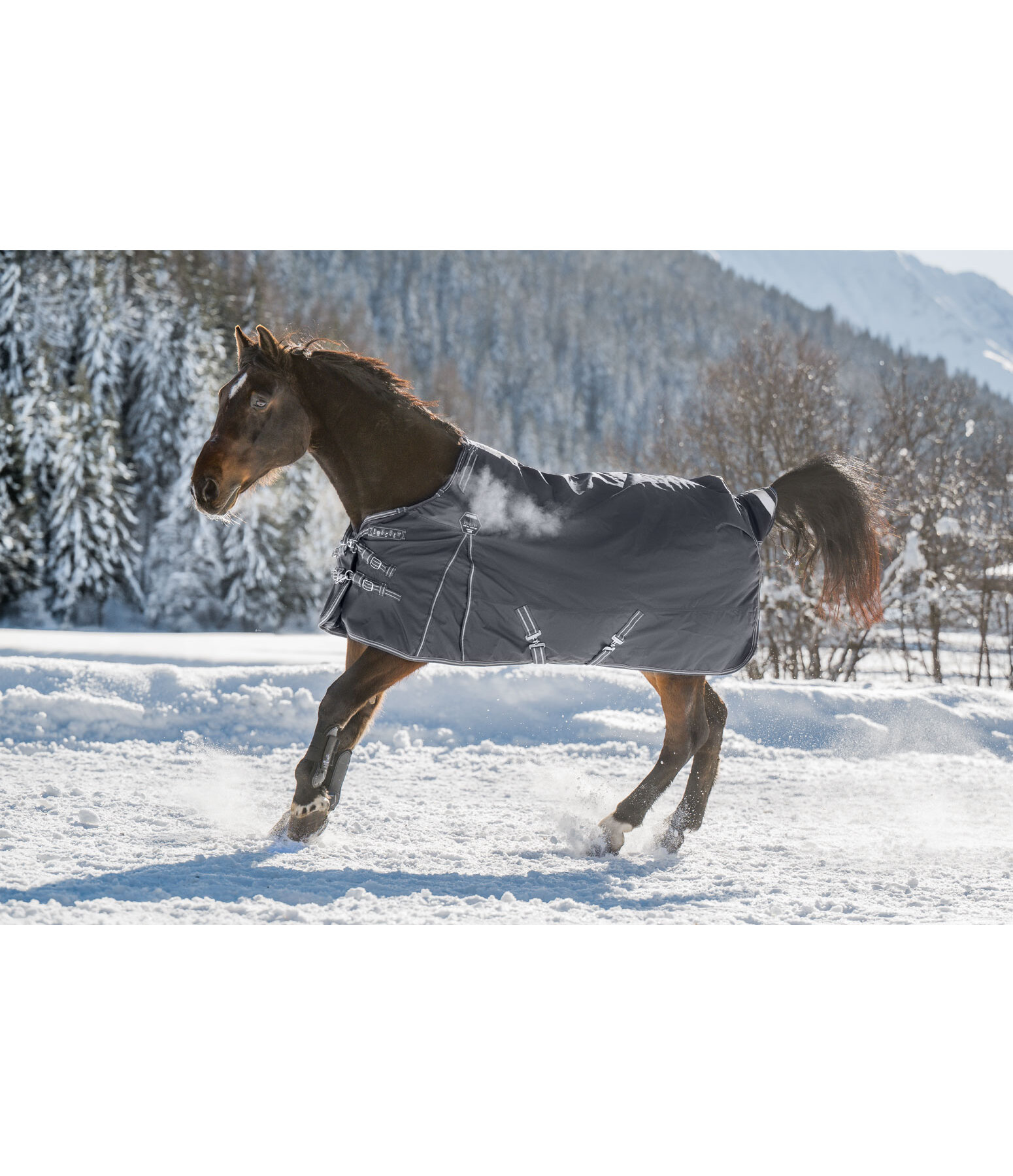  Functional and particularly versatile, tear-resistant turnout rug with a classic neckline (regular neck) made of 1,680 denier