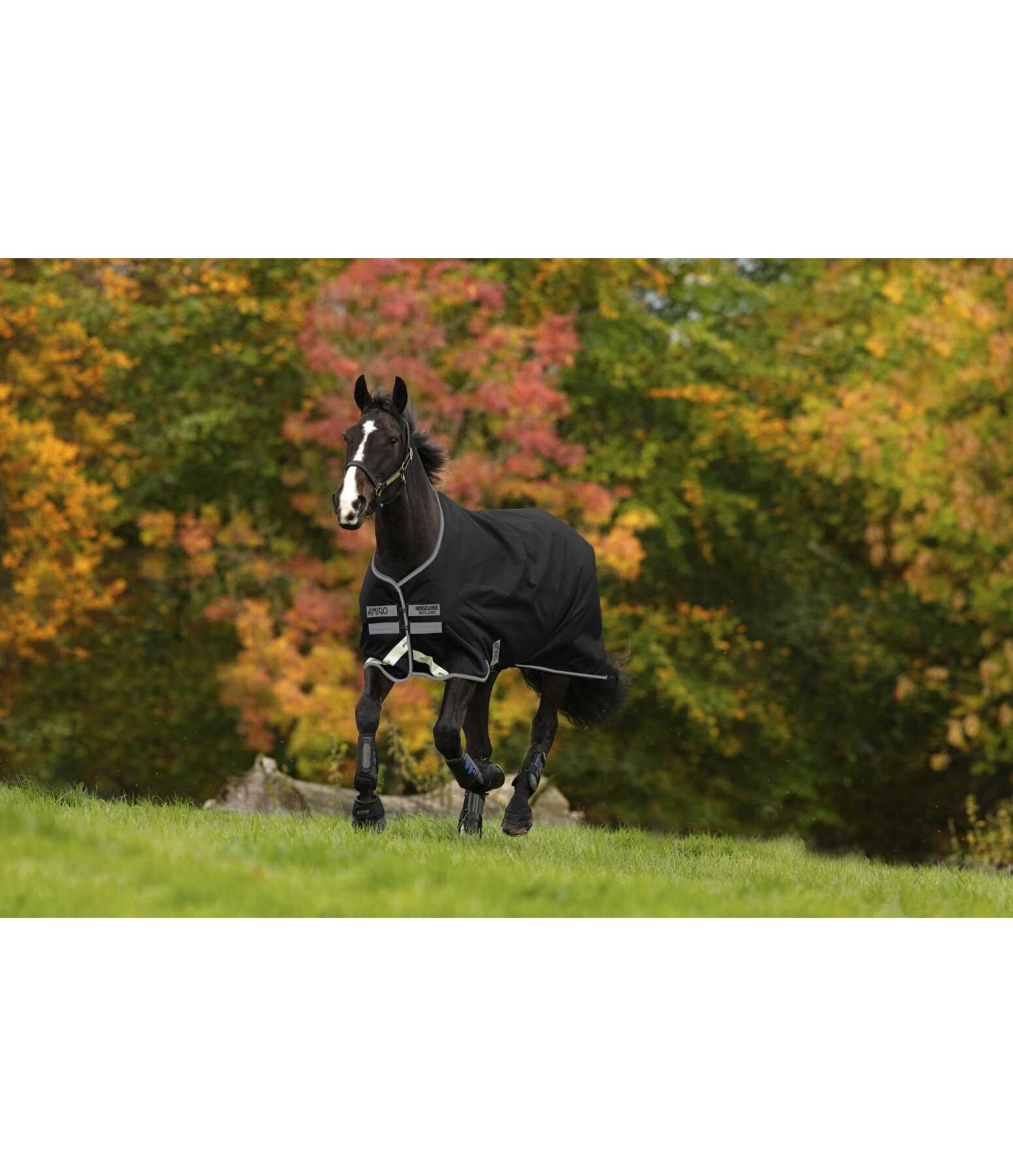 Couverture d'extrieur  Amigo Bravo 12 Original, 0 g