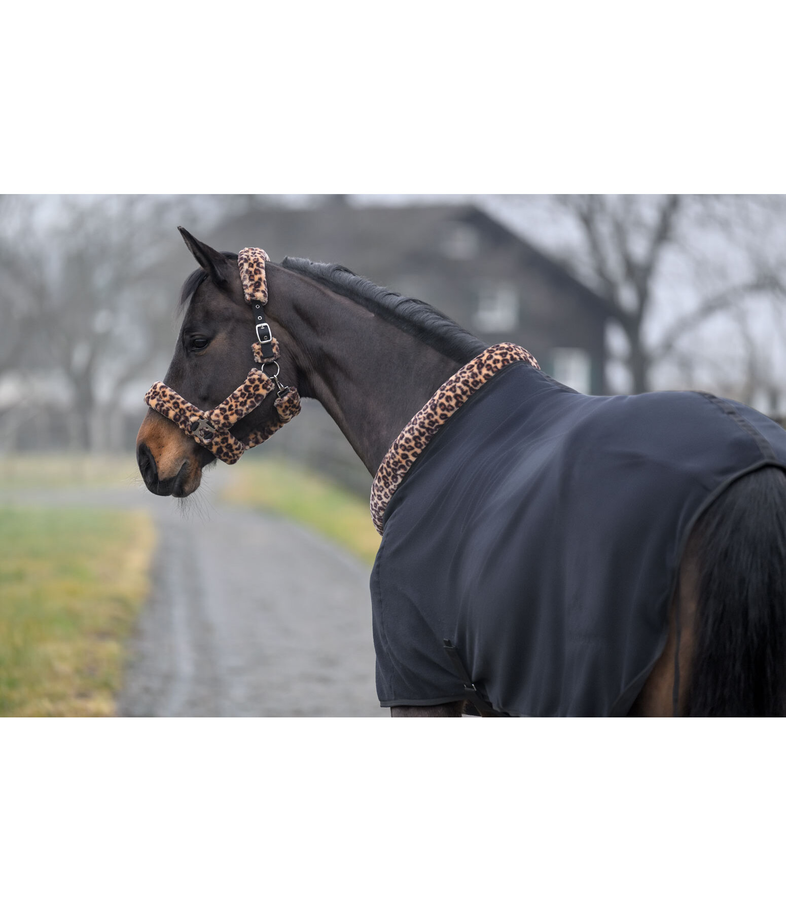 Chemise schante en polaire avec col en fourrure Teddy  Leo