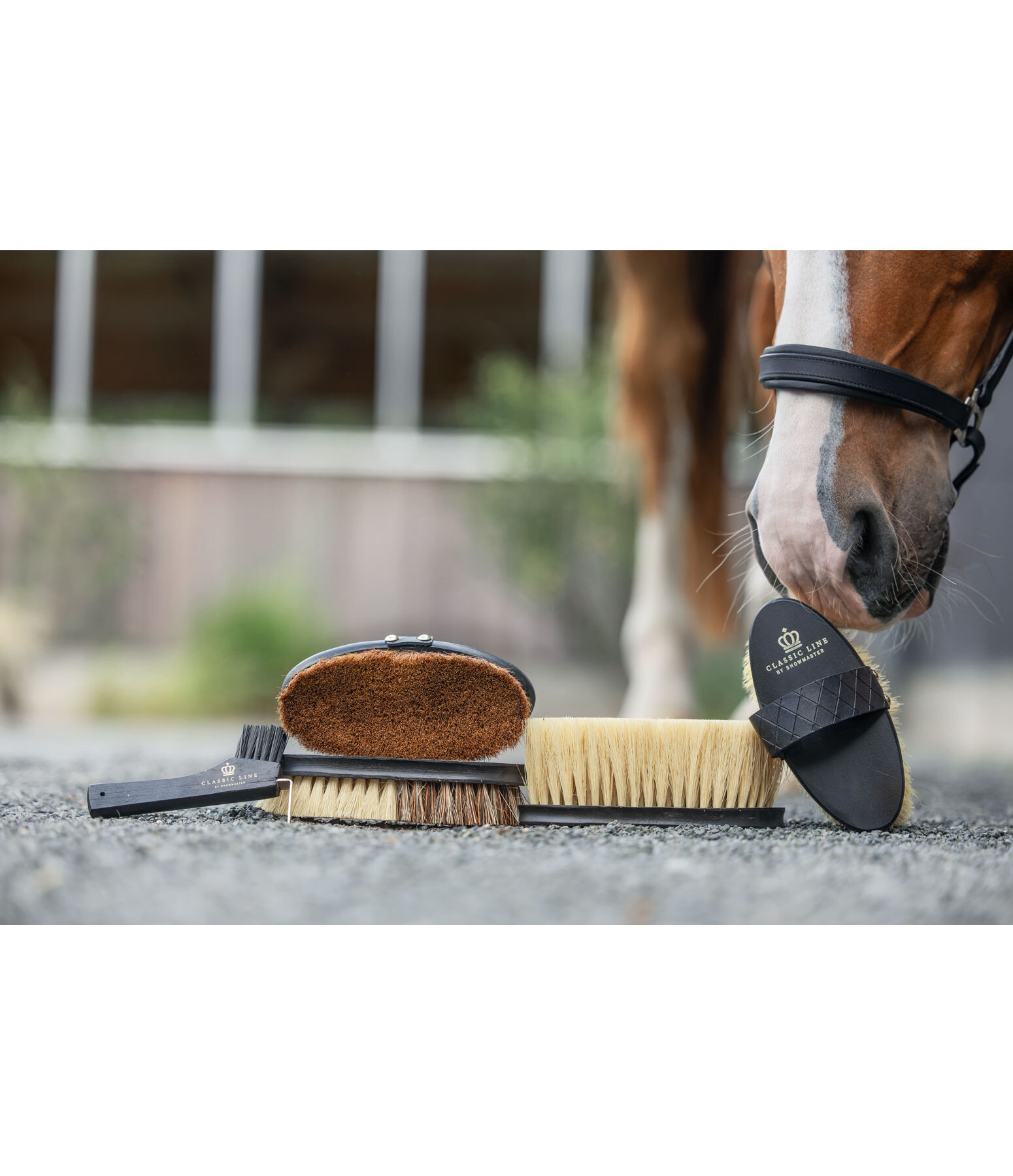 Brosse anti-poussi�re