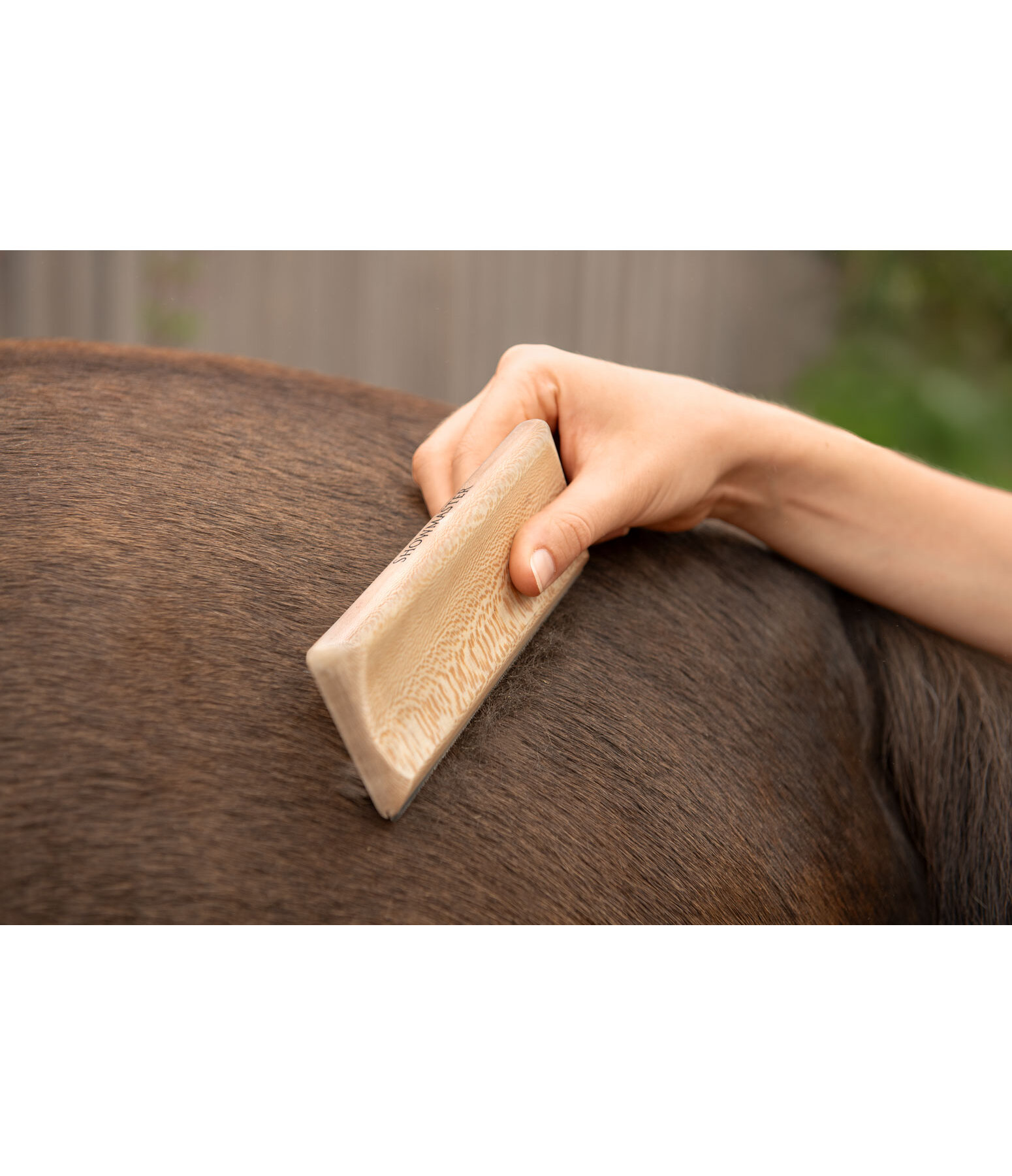 Brosse pour la mue  Timber