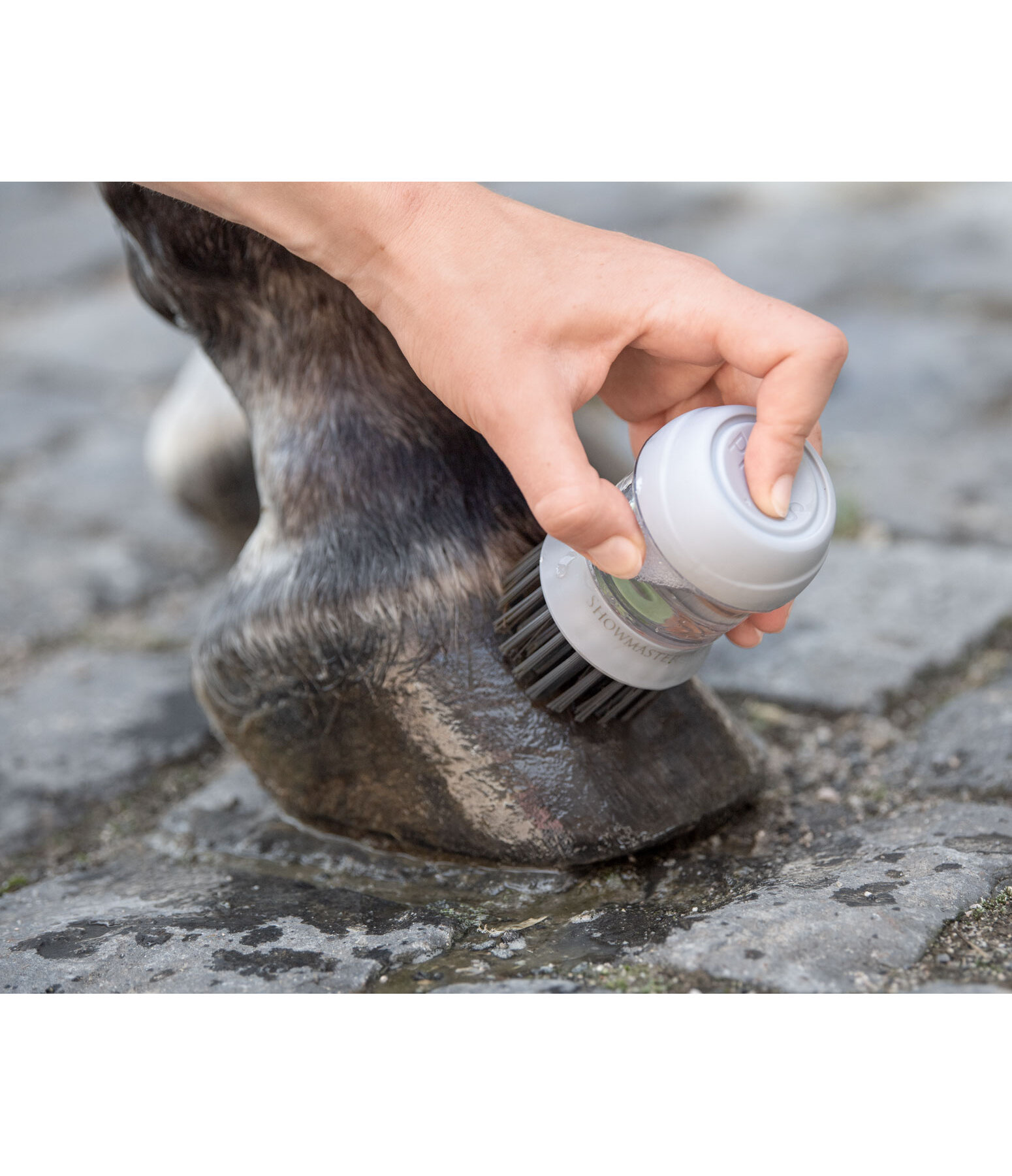 Brosse  sabots avec rservoir