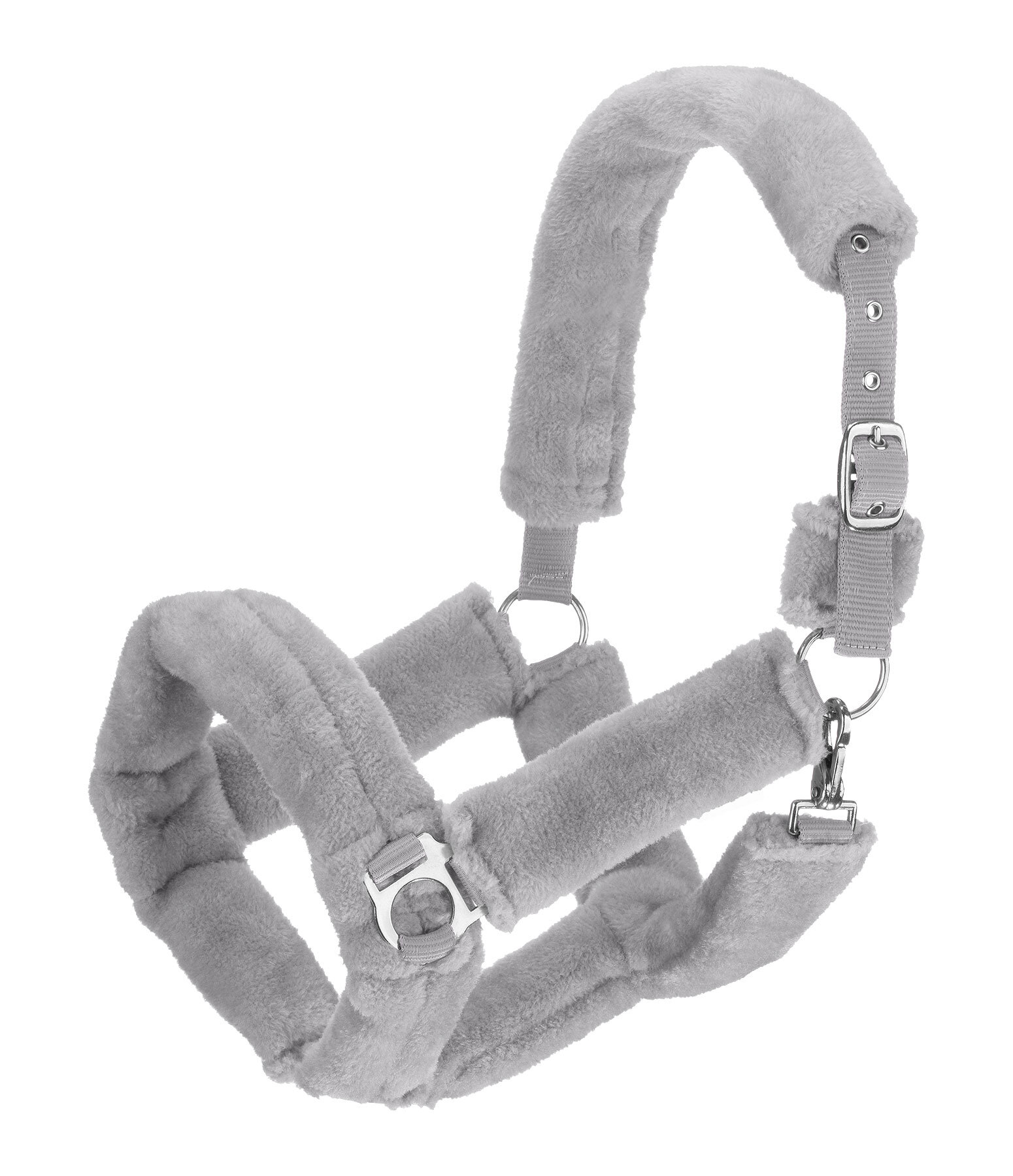 Licol en polaire Teddy  Protection