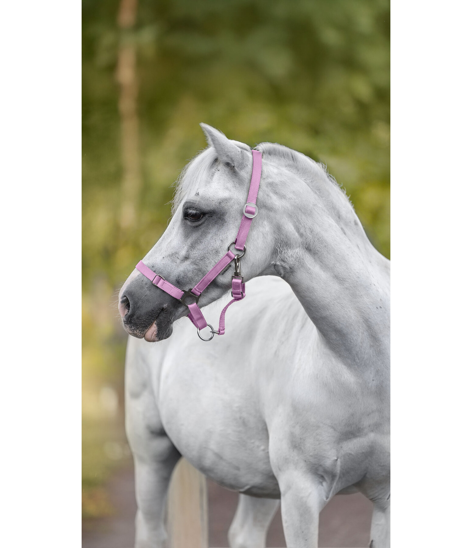 Licol pour poulains et shetlands  Grow With You