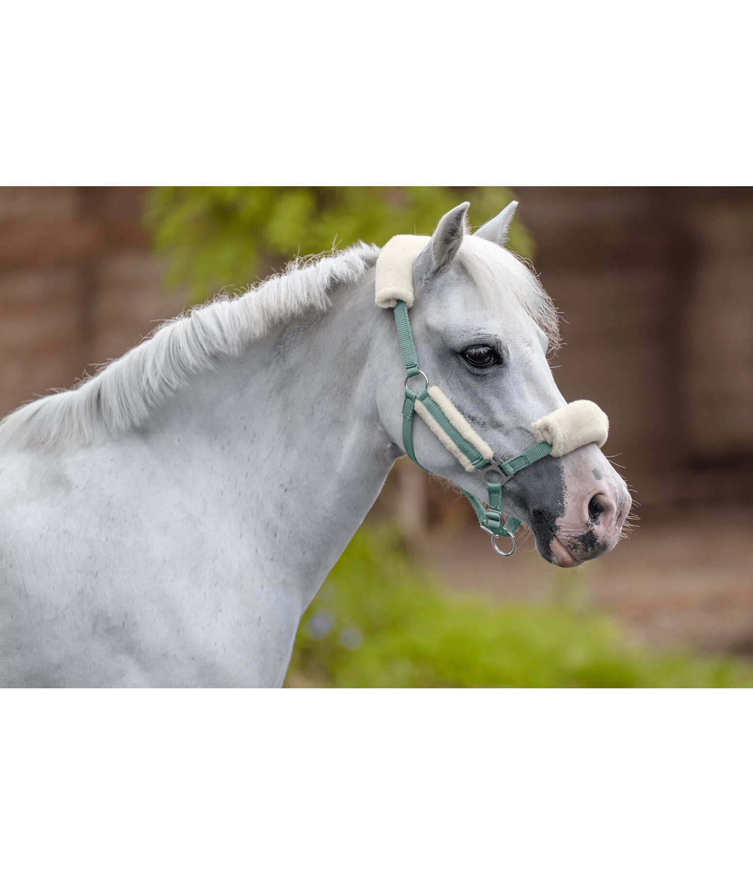 Licol poulain et shetland en polaire Teddy  Cozy Adjustable