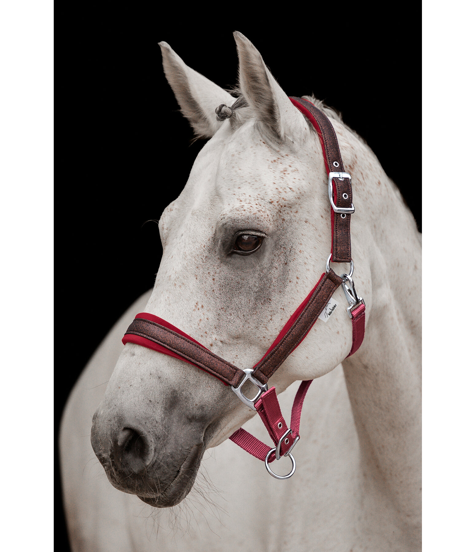 Licol  Velvet Twinkle