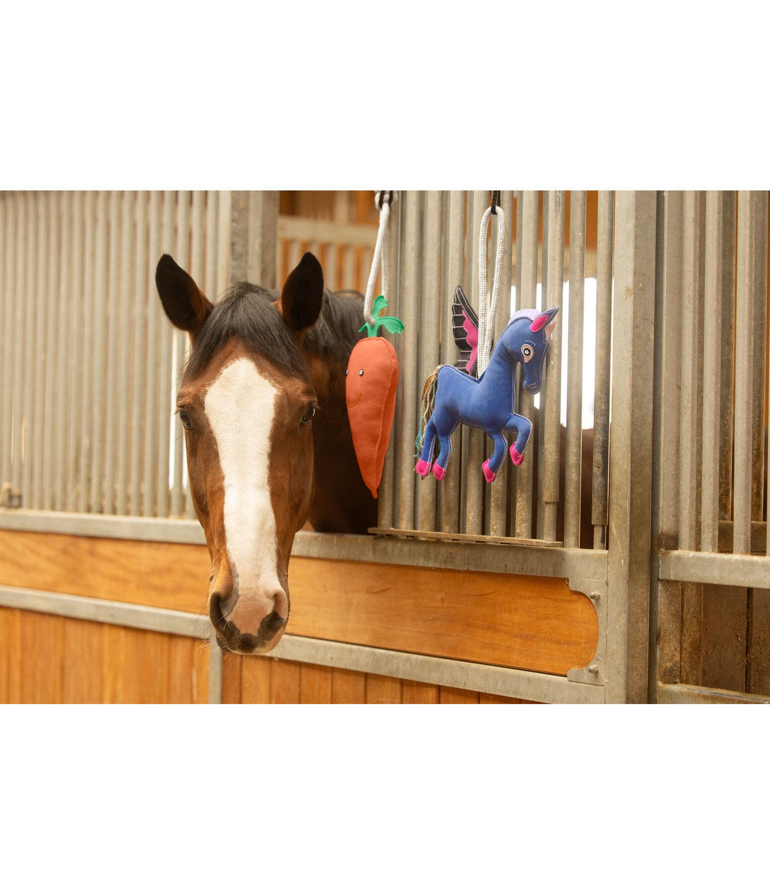 Jouet pour cheval  Carrot