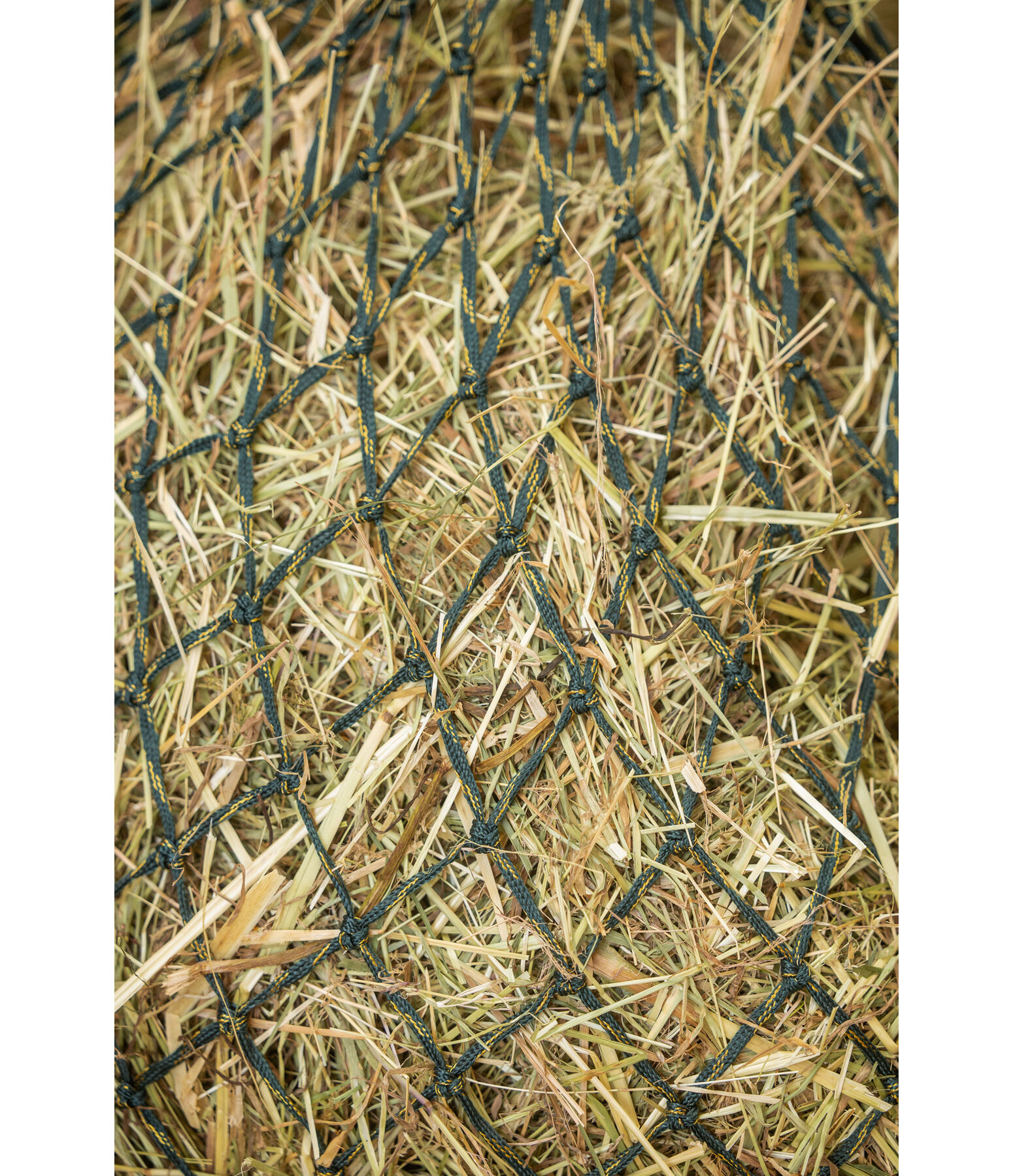 Filet � foin  Glitter