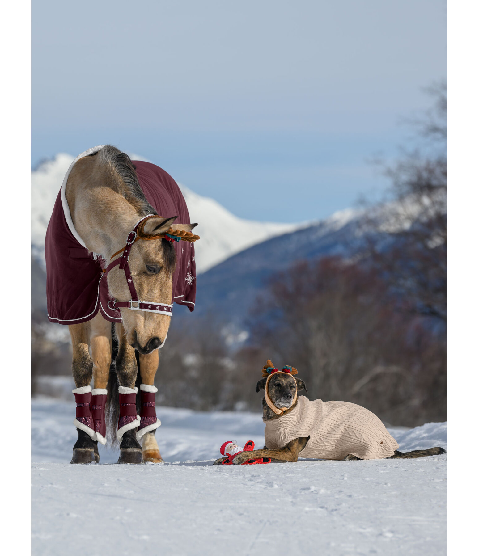 Calendrier de l'Avent pour chevaux