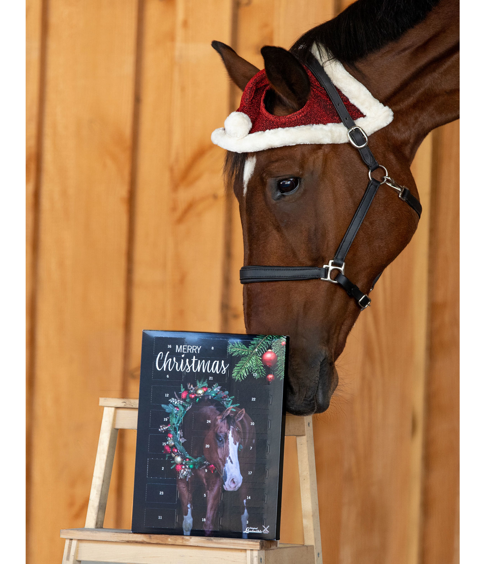 Calendrier De L Avent Pour Chevaux Felix Buhler Calendrier De L Avent Pour Chevaux Felix Buhler