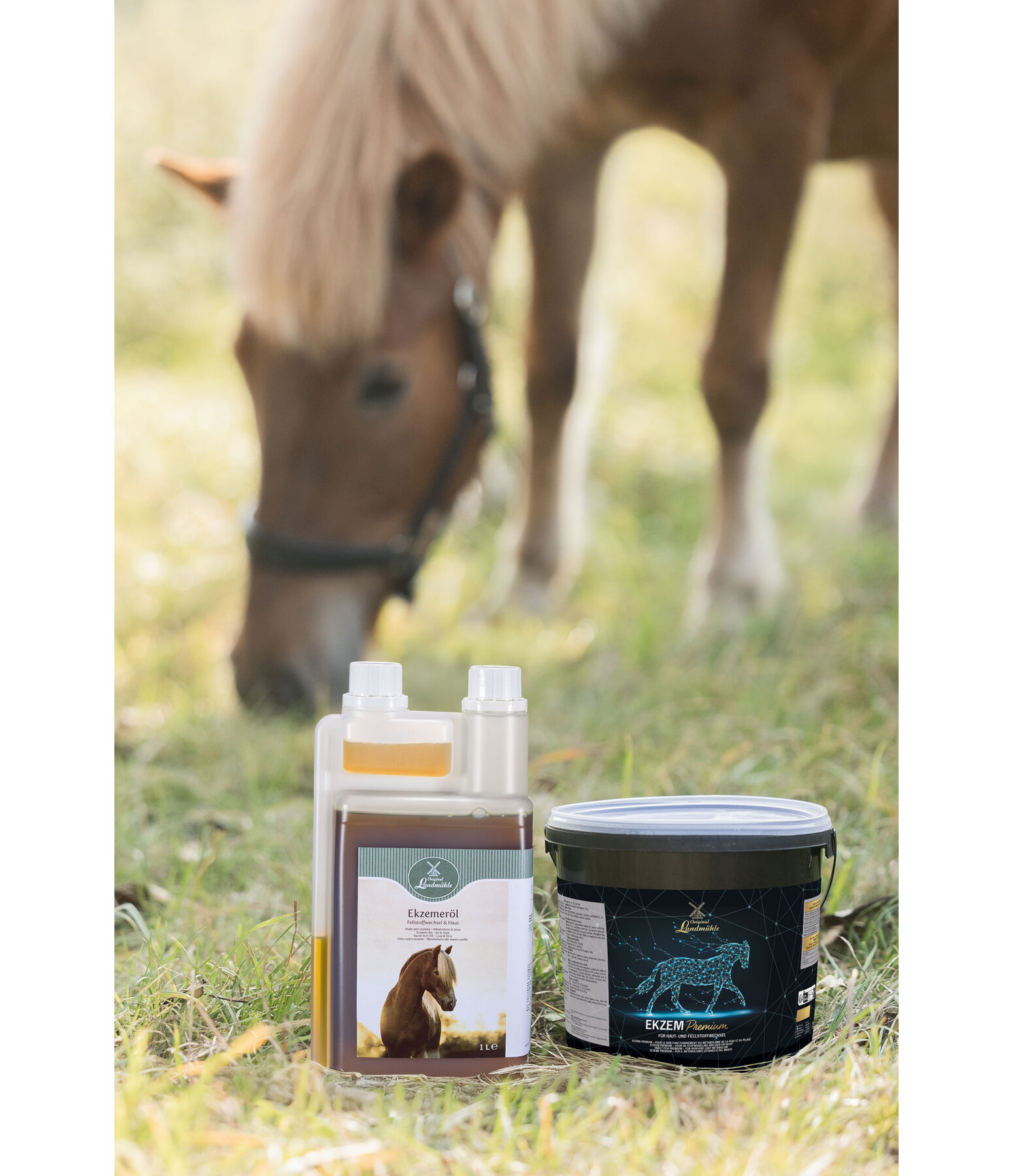 Eczma Premium