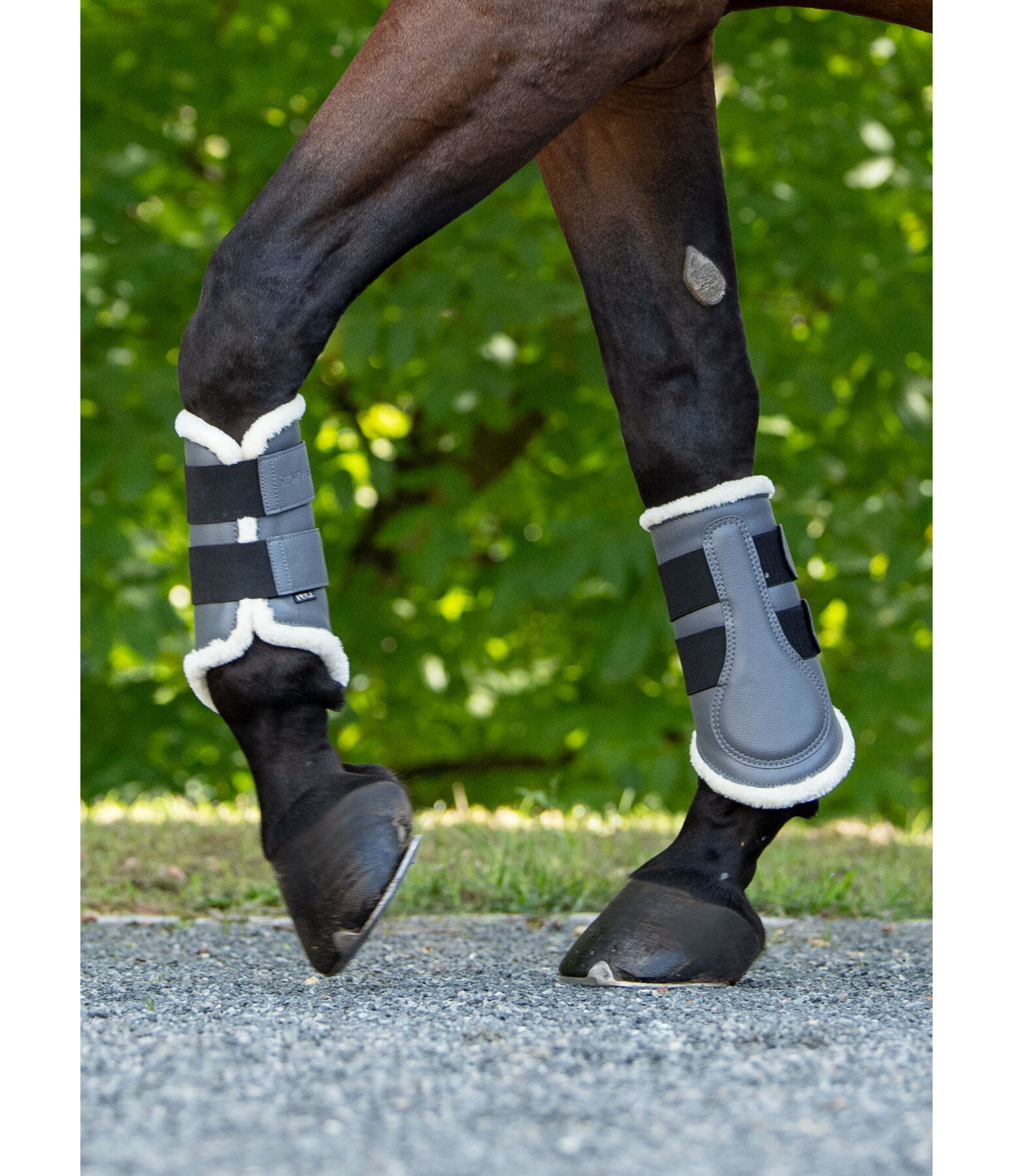 Gutres de dressage antrieures en polaire Teddy