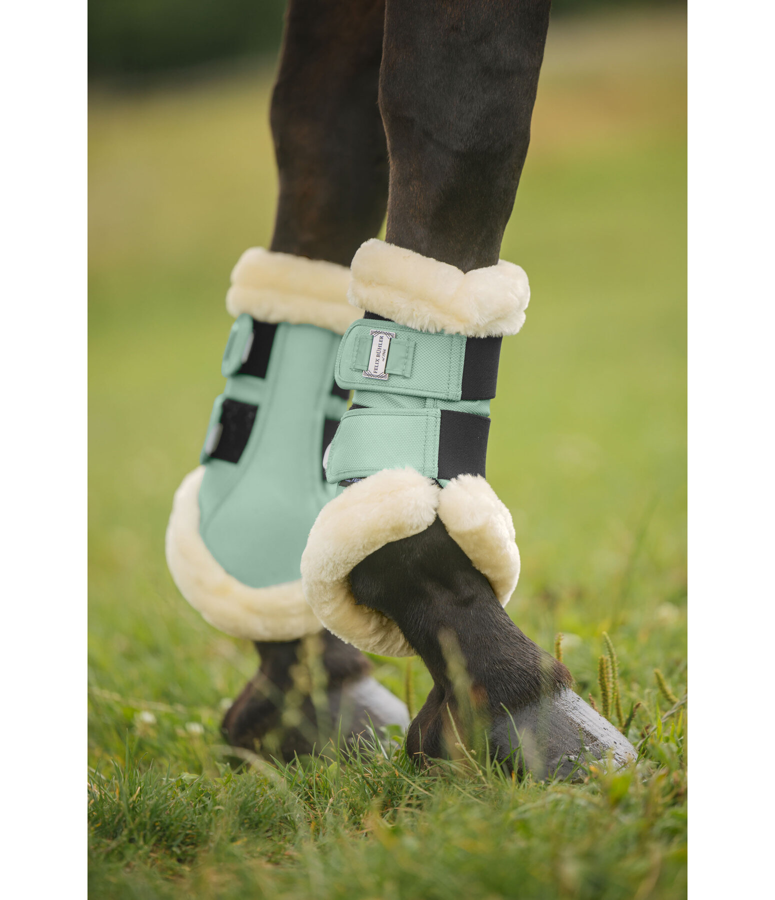 Gutres de dressage en polaire Teddy  Essential, pour antrieurs