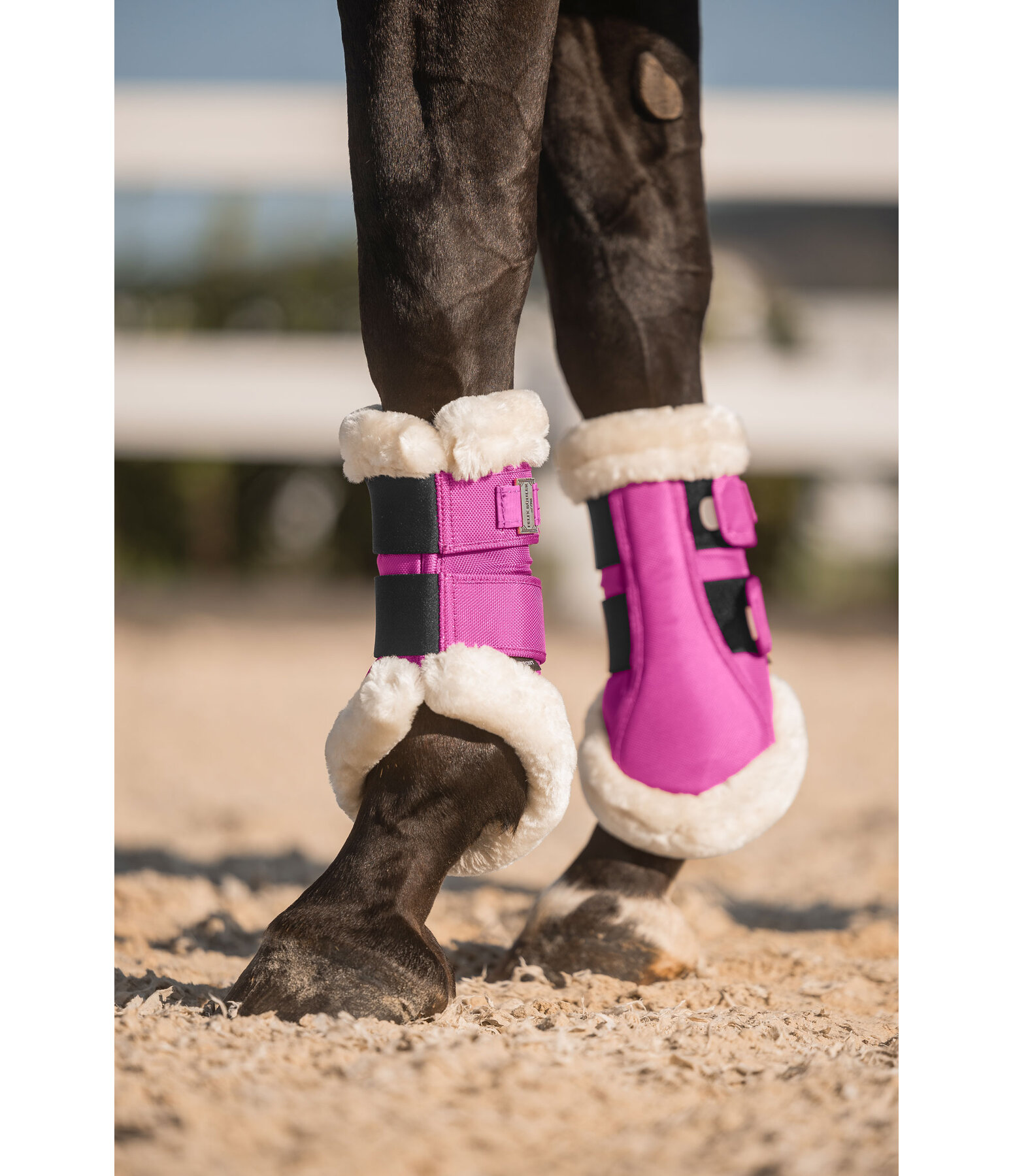 Gutres de dressage en polaire Teddy  Essential, pour antrieurs