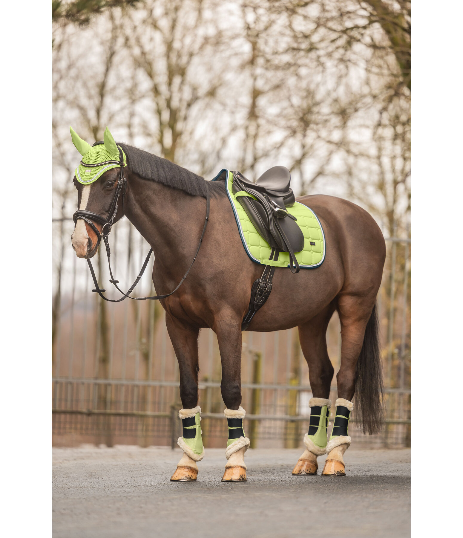 Gutres de dressage en polaire Teddy  Essential, pour antrieurs