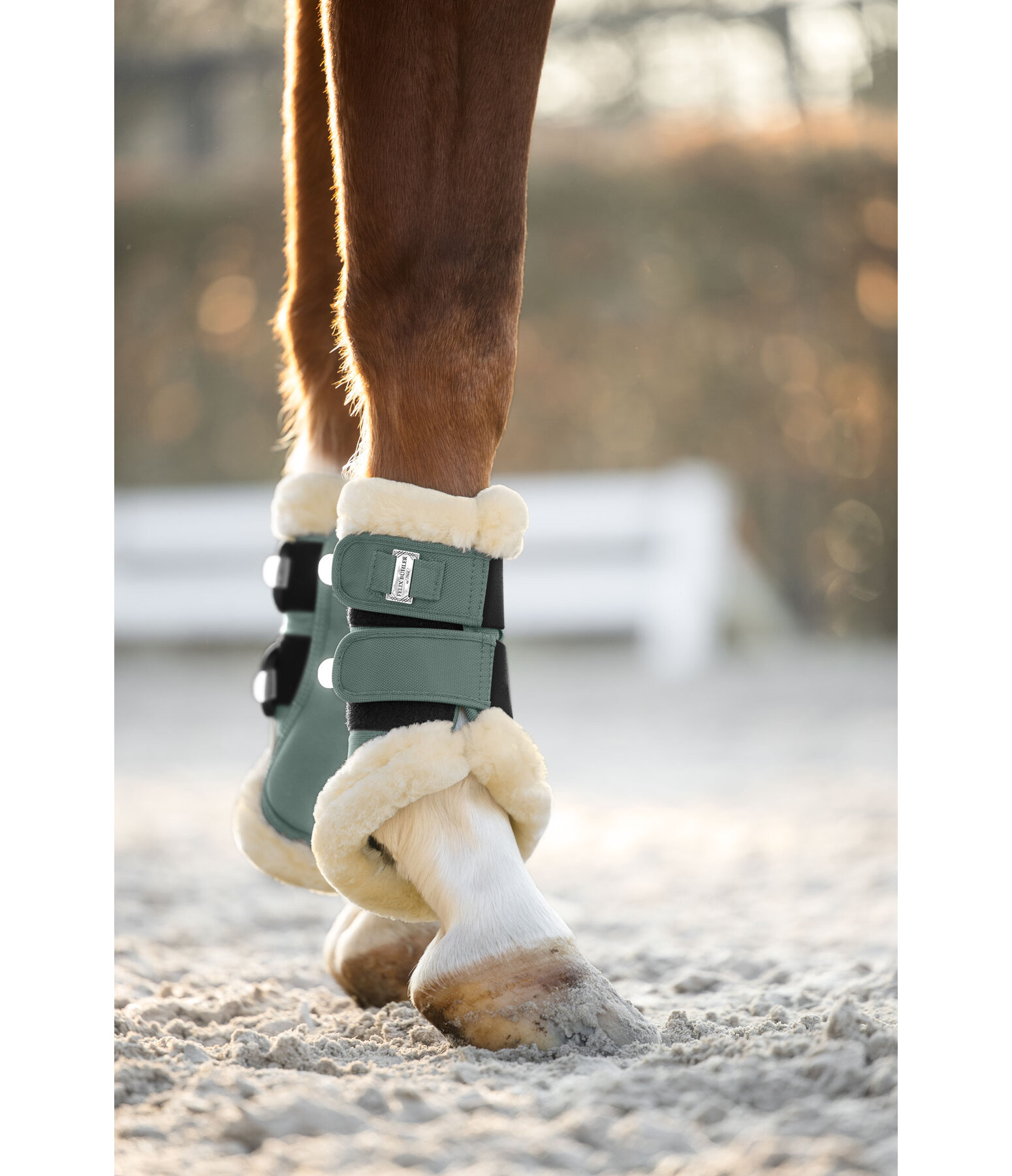 Gu�tres de dressage en polaire Teddy  Essential (ant�rieurs)