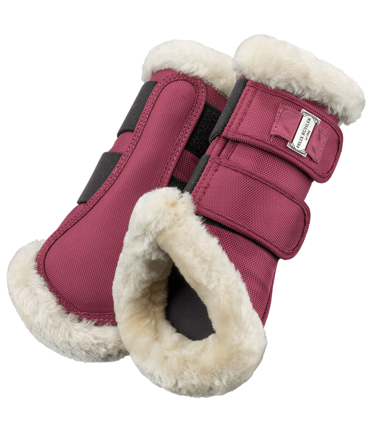 Gutres de dressage en polaire Teddy  Essential, pour antrieurs