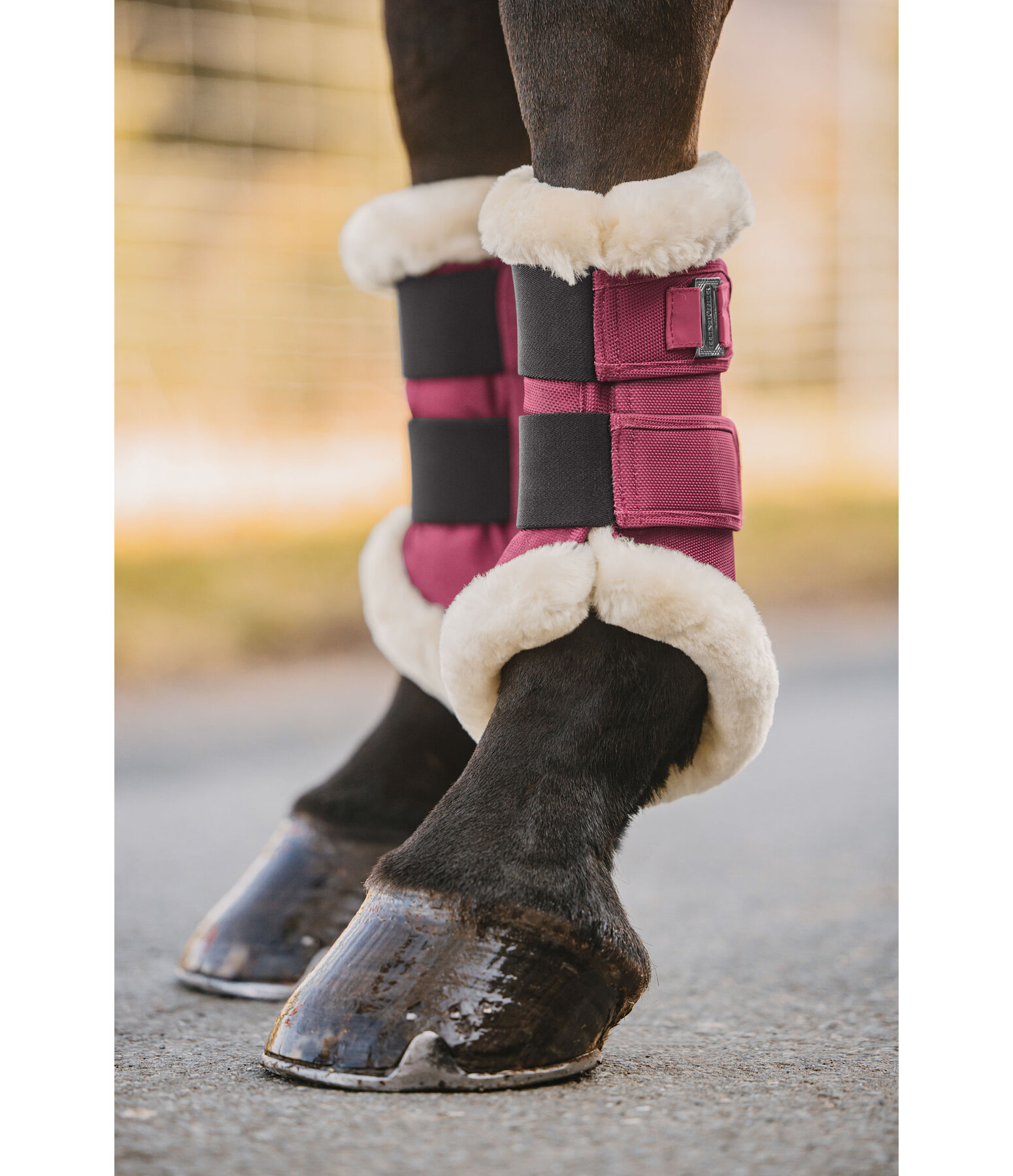 Gutres de dressage en polaire Teddy  Essential, pour antrieurs