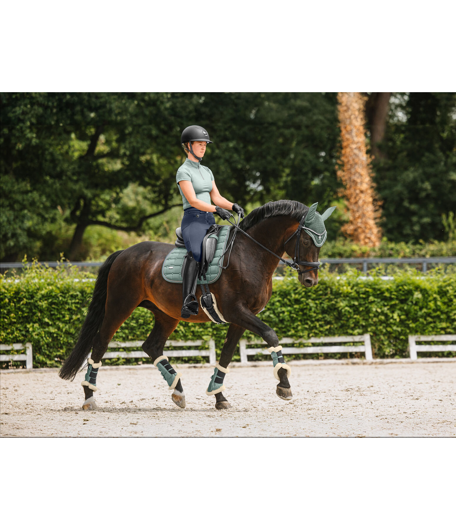 Gu�tres de dressage en polaire Teddy  Essential, pour post�rieurs