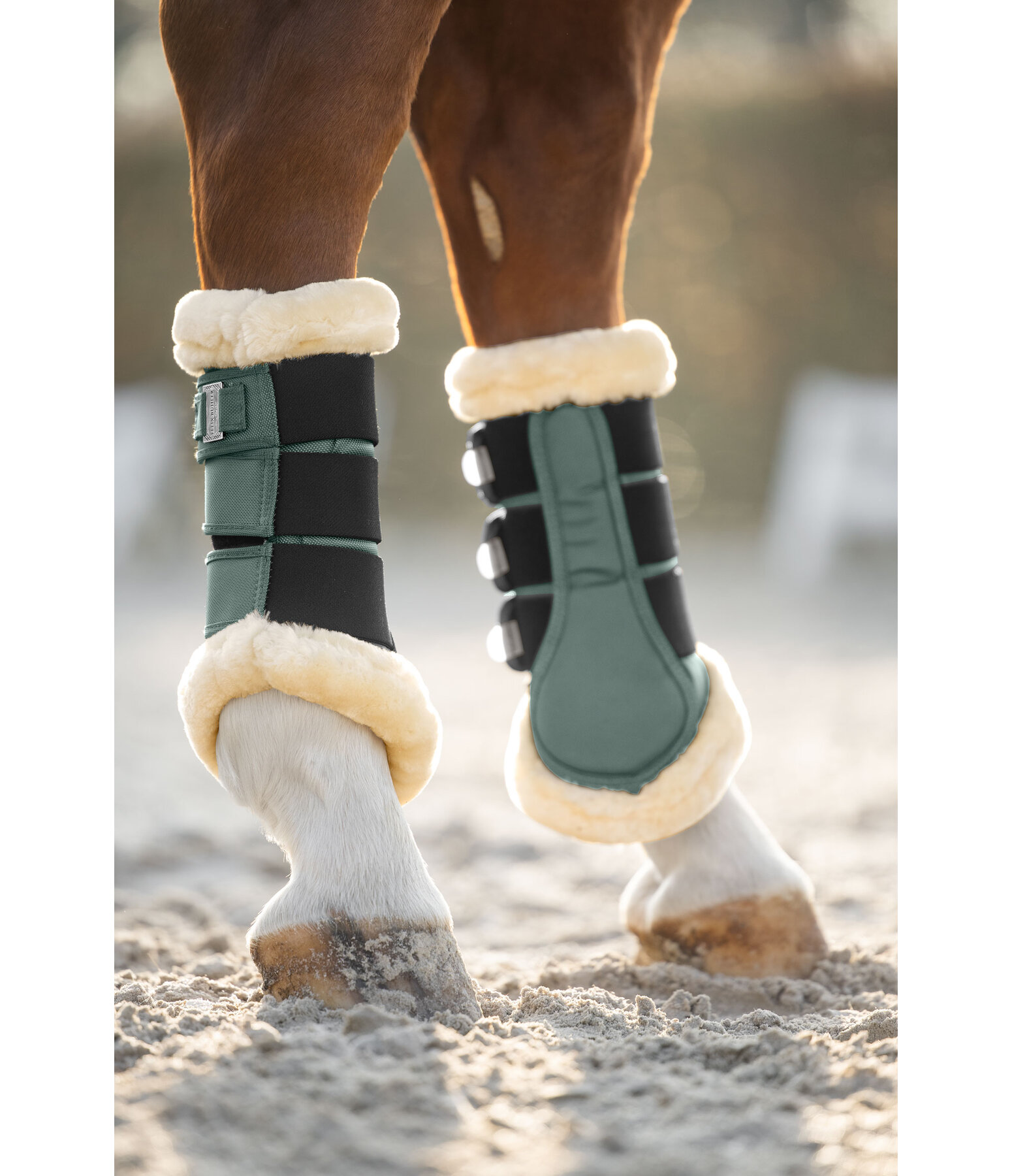 Gu�tres de dressage en polaire Teddy  Essential, pour post�rieurs