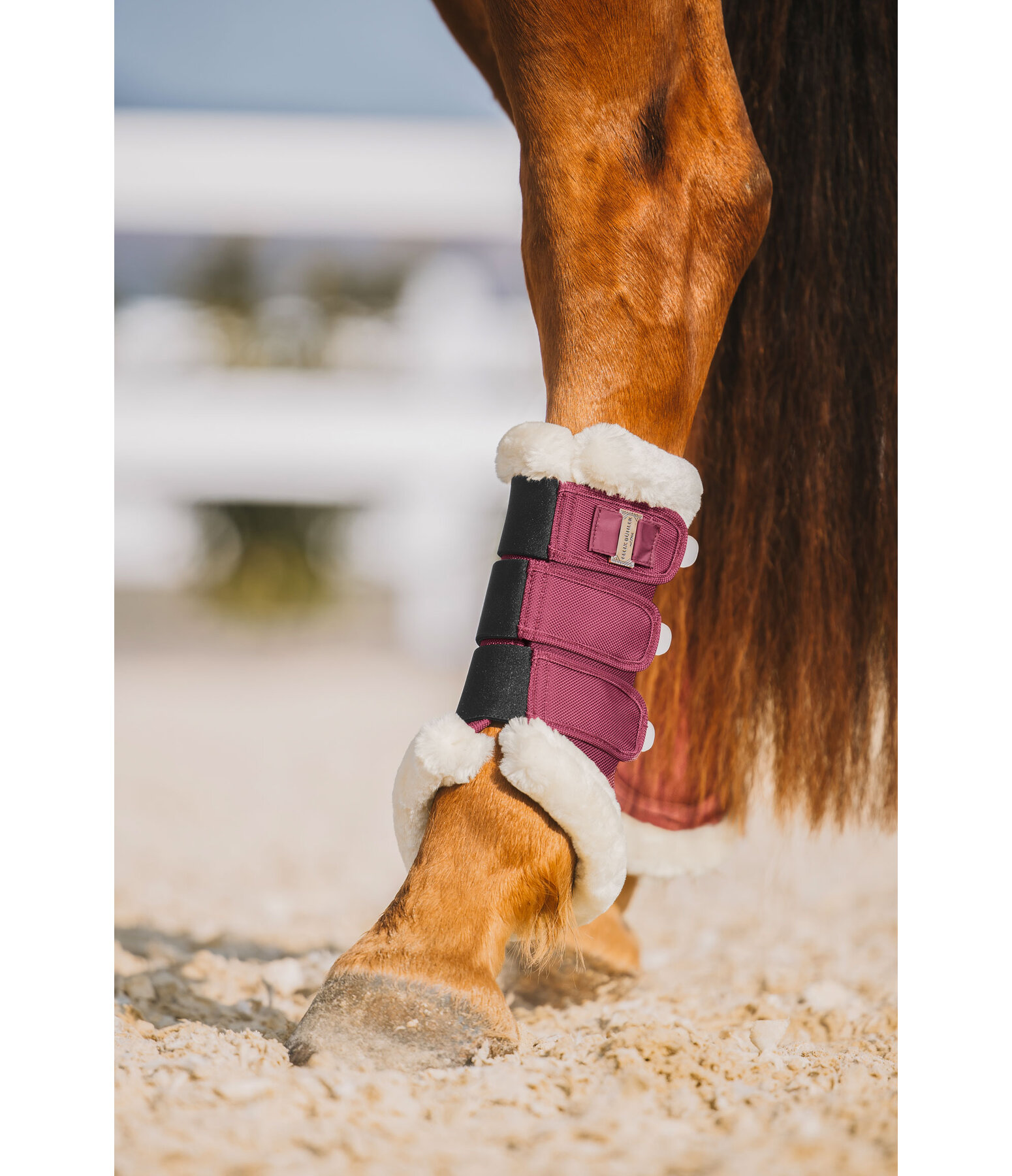 Gutres de dressage en polaire Teddy  Essential, pour postrieurs