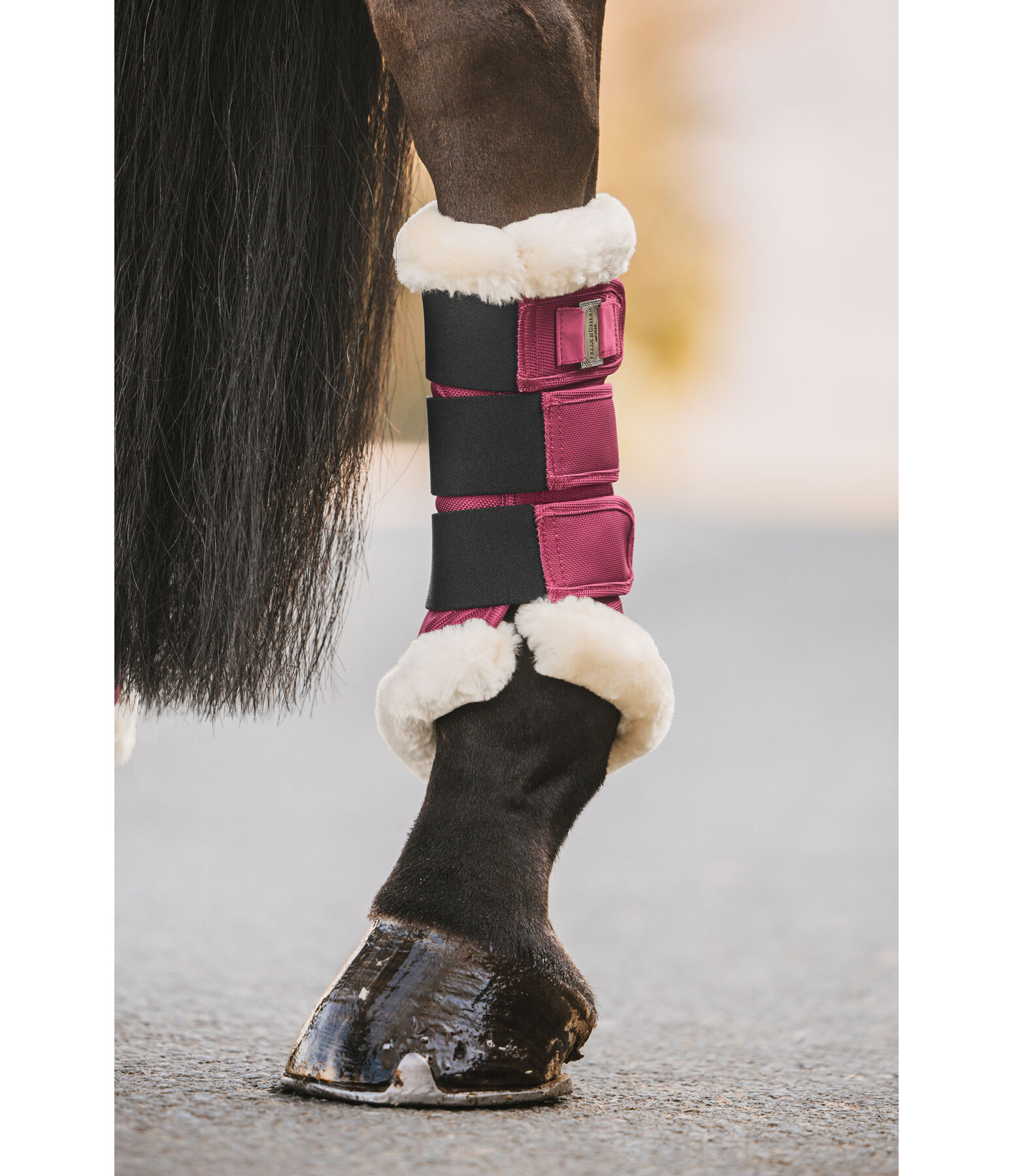 Gutres de dressage en polaire Teddy  Essential, pour postrieurs