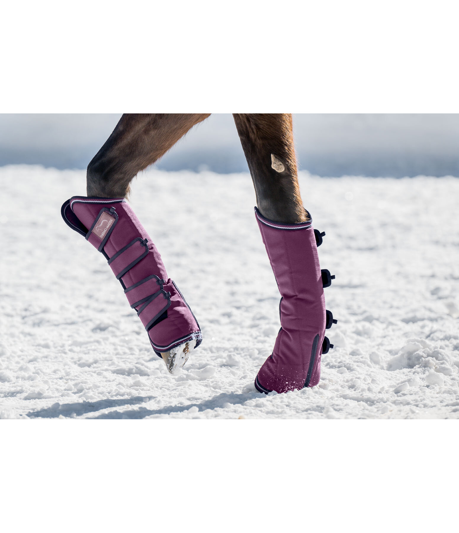 Gu�tres de transport   Kilian