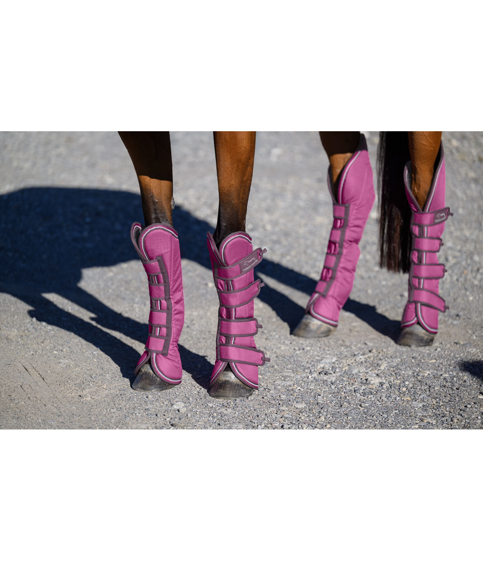 Gu�tres de transport   Kilian