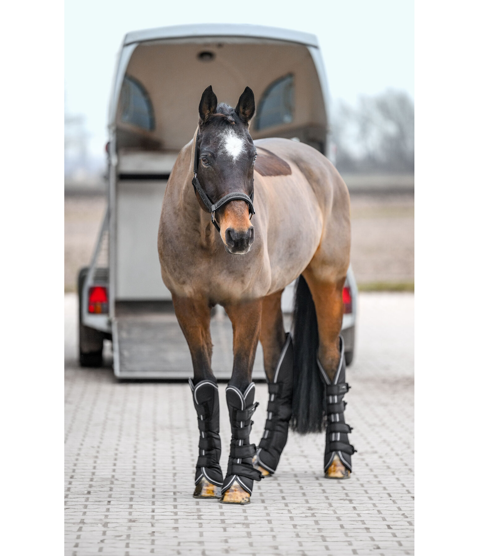 Gu�tres de transport   Kilian