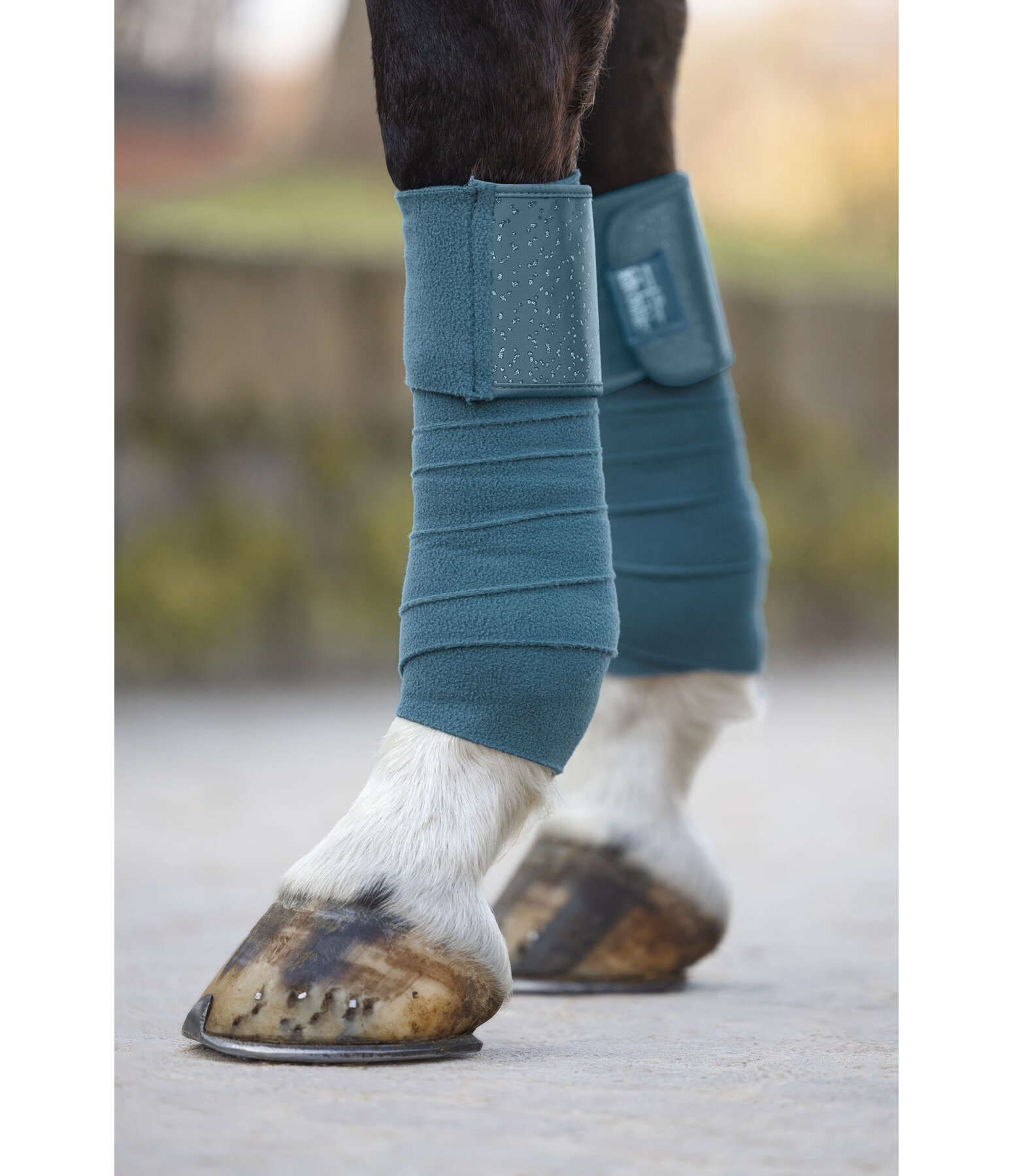 Bandes polaire  Sparkling II