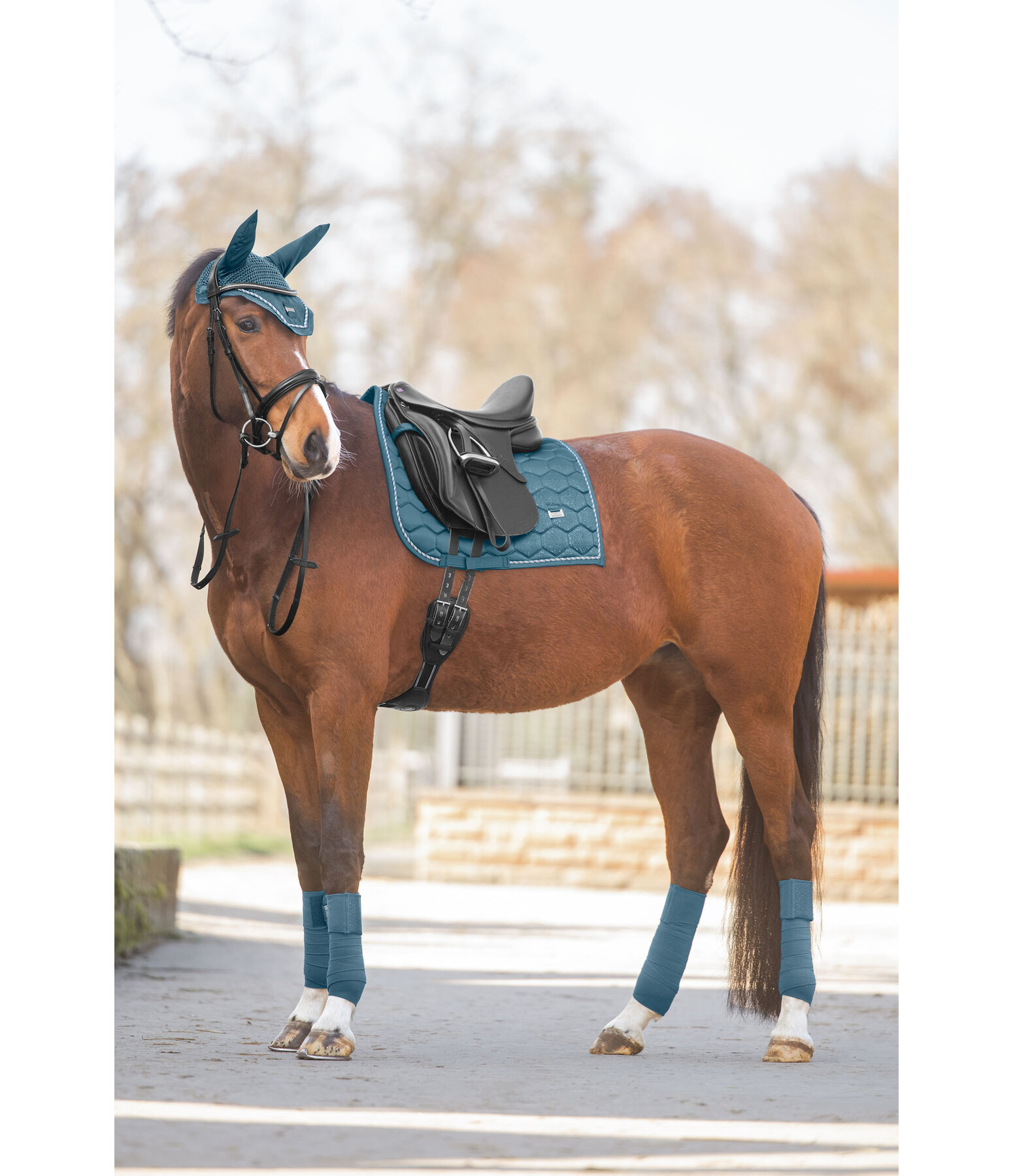Bandes polaire  Sparkling II