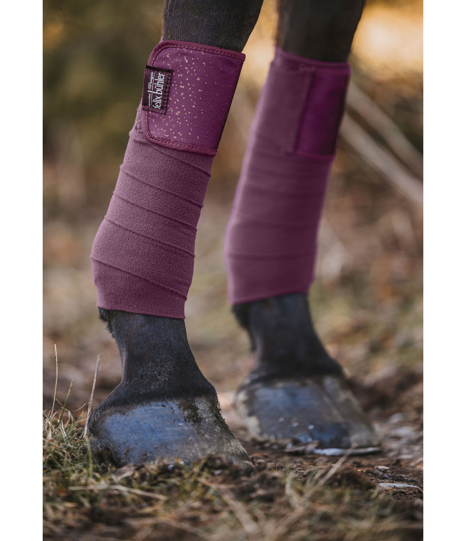 Bandes polaire  Sparkling II