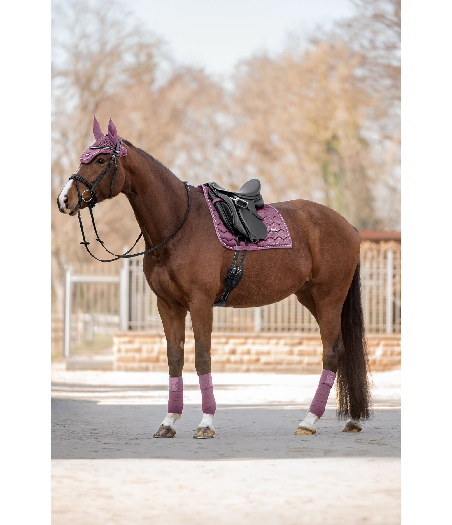 Bandes polaire  Sparkling II
