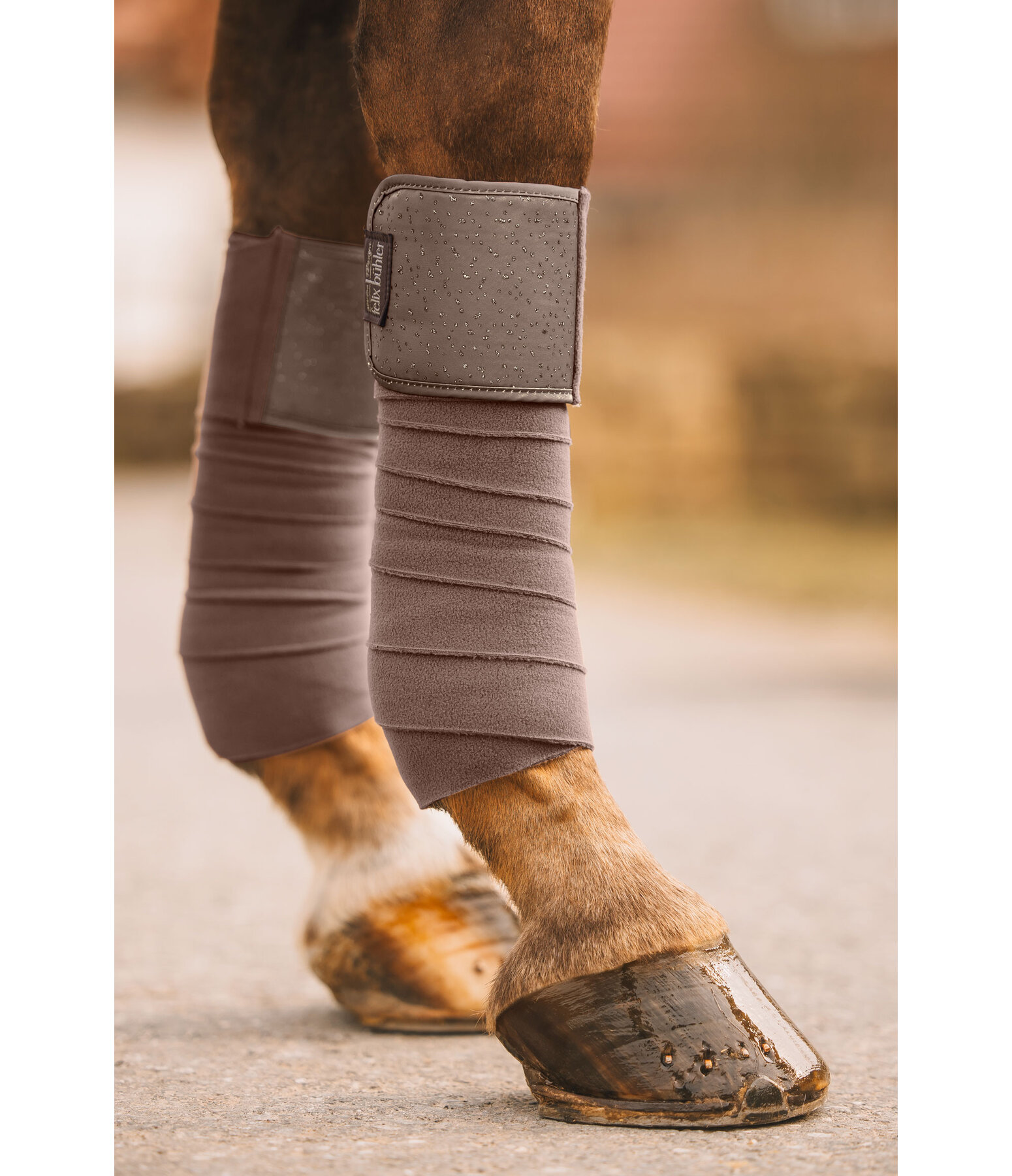 Bandes polaire  Sparkling II