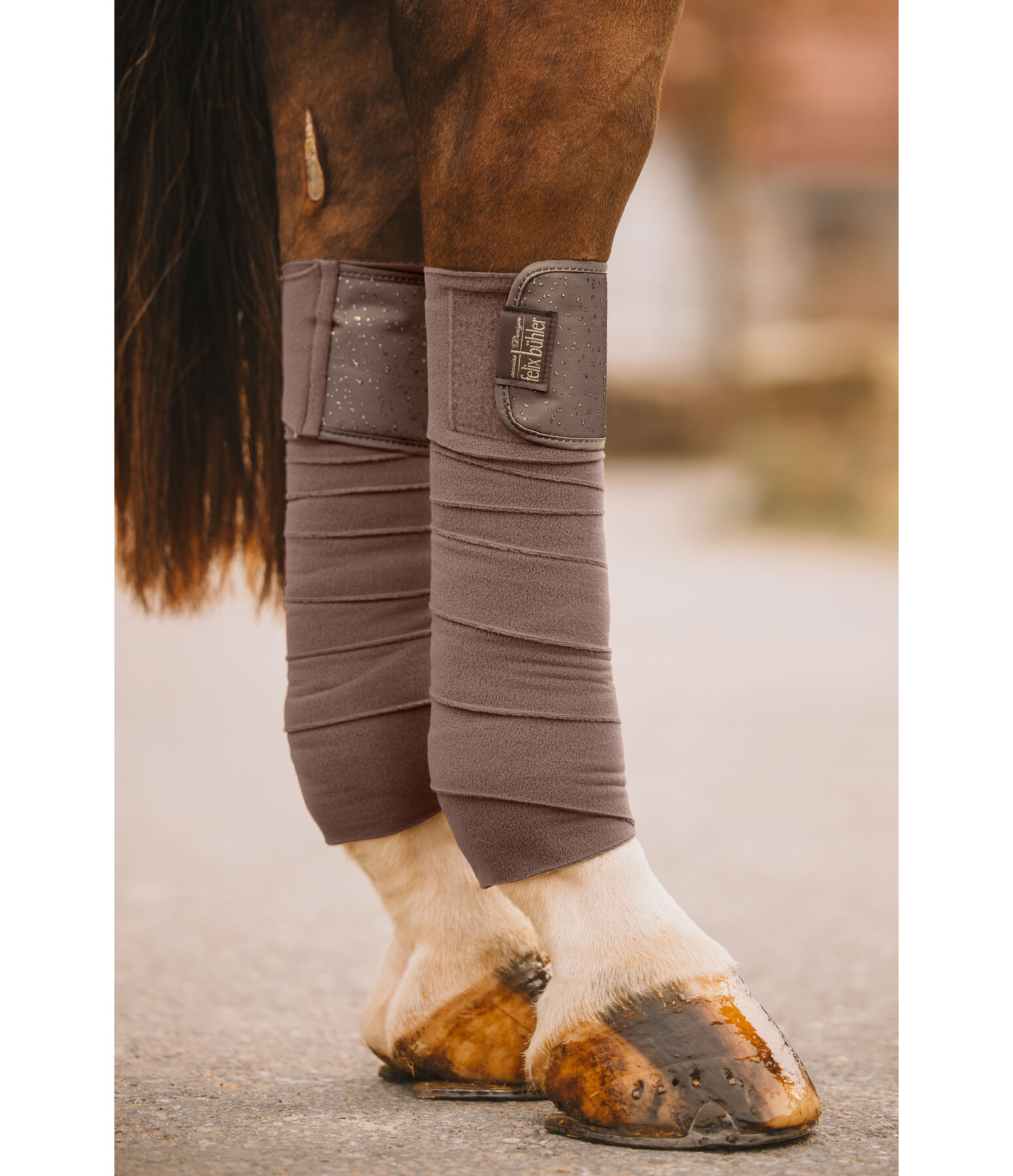 Bandes polaire  Sparkling II