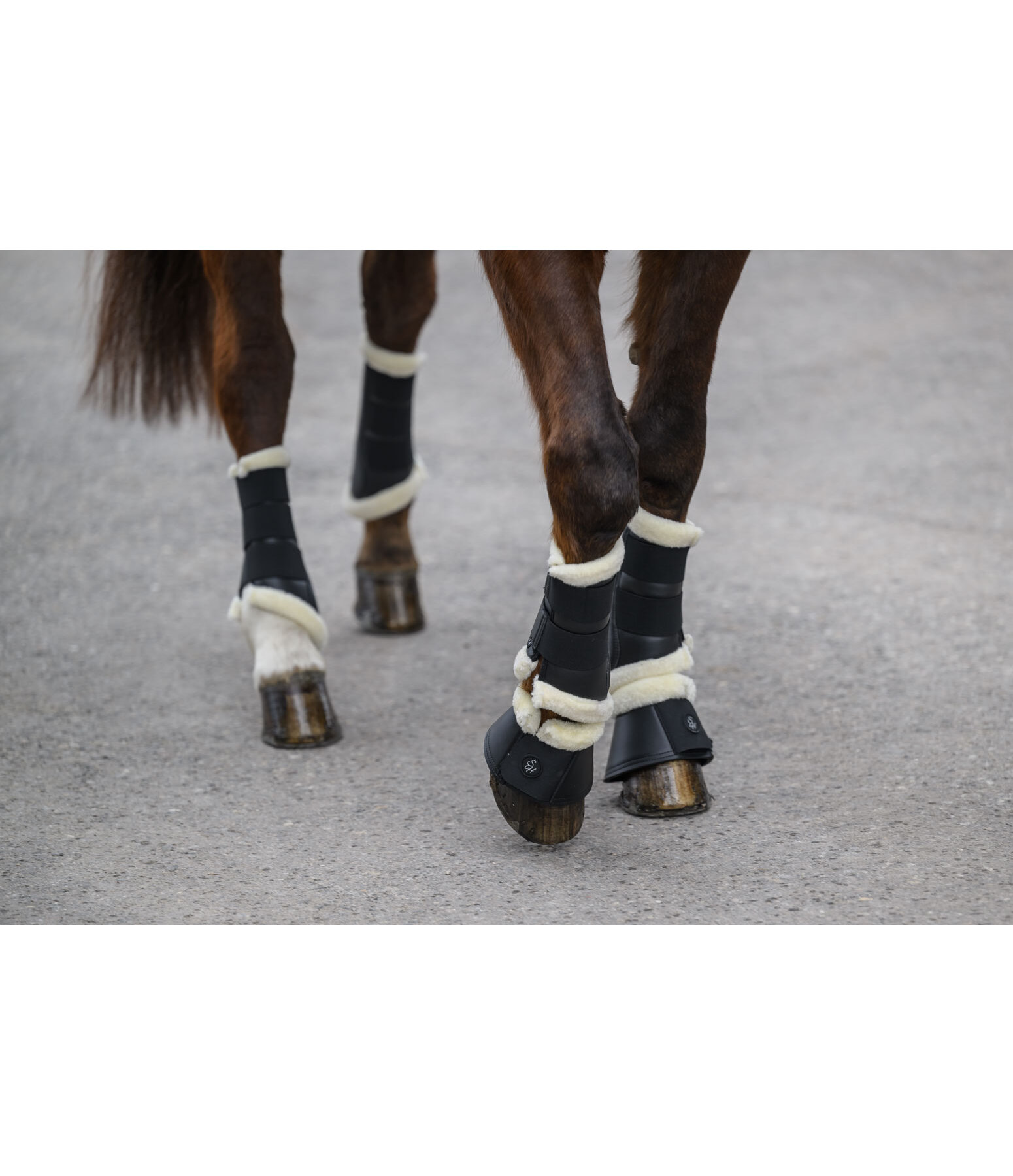 Gutres de dressage avec polaire Teddy  Classic (pour antrieurs)