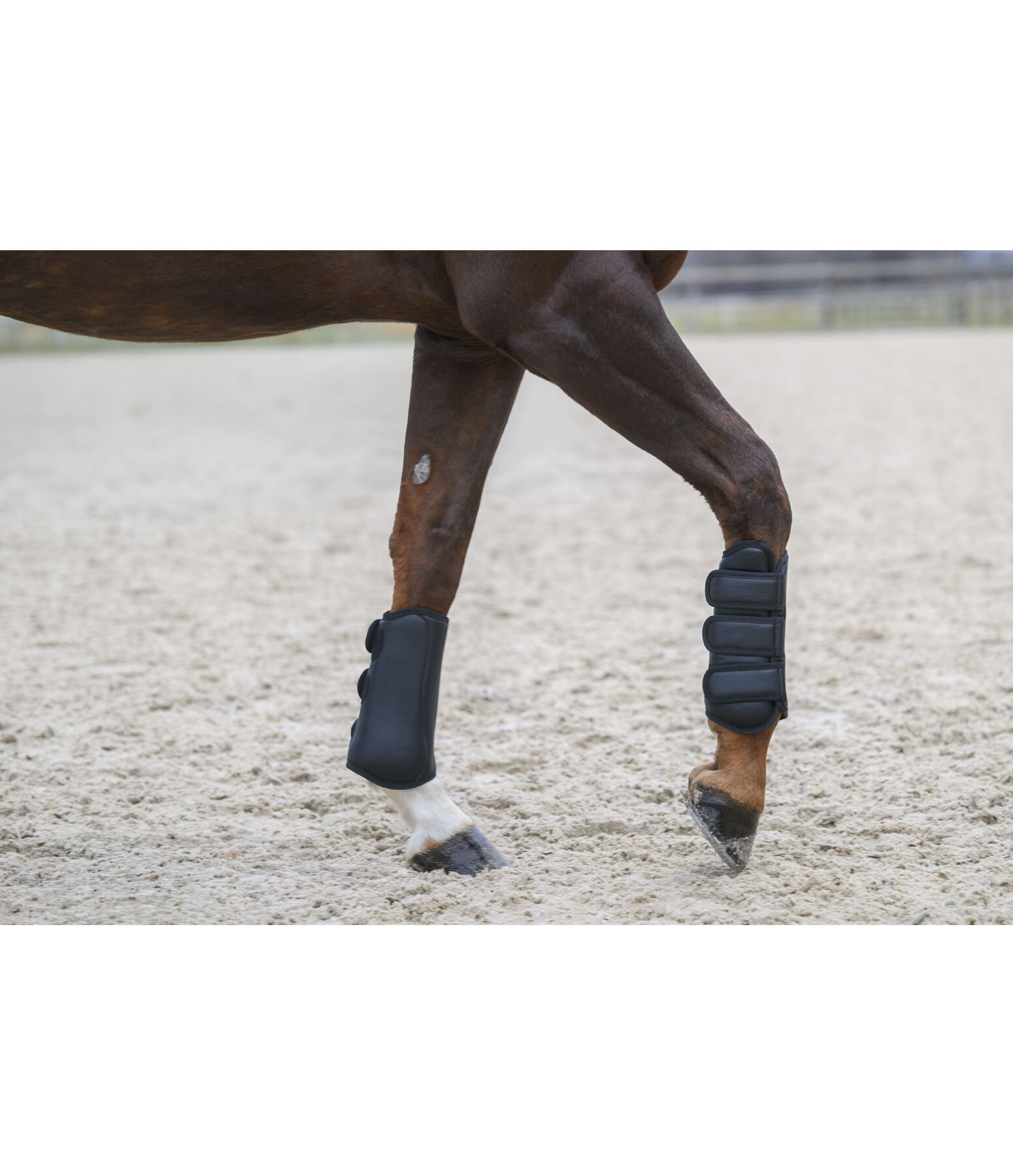 Gu�tres de dressage  All Day ant�rieurs