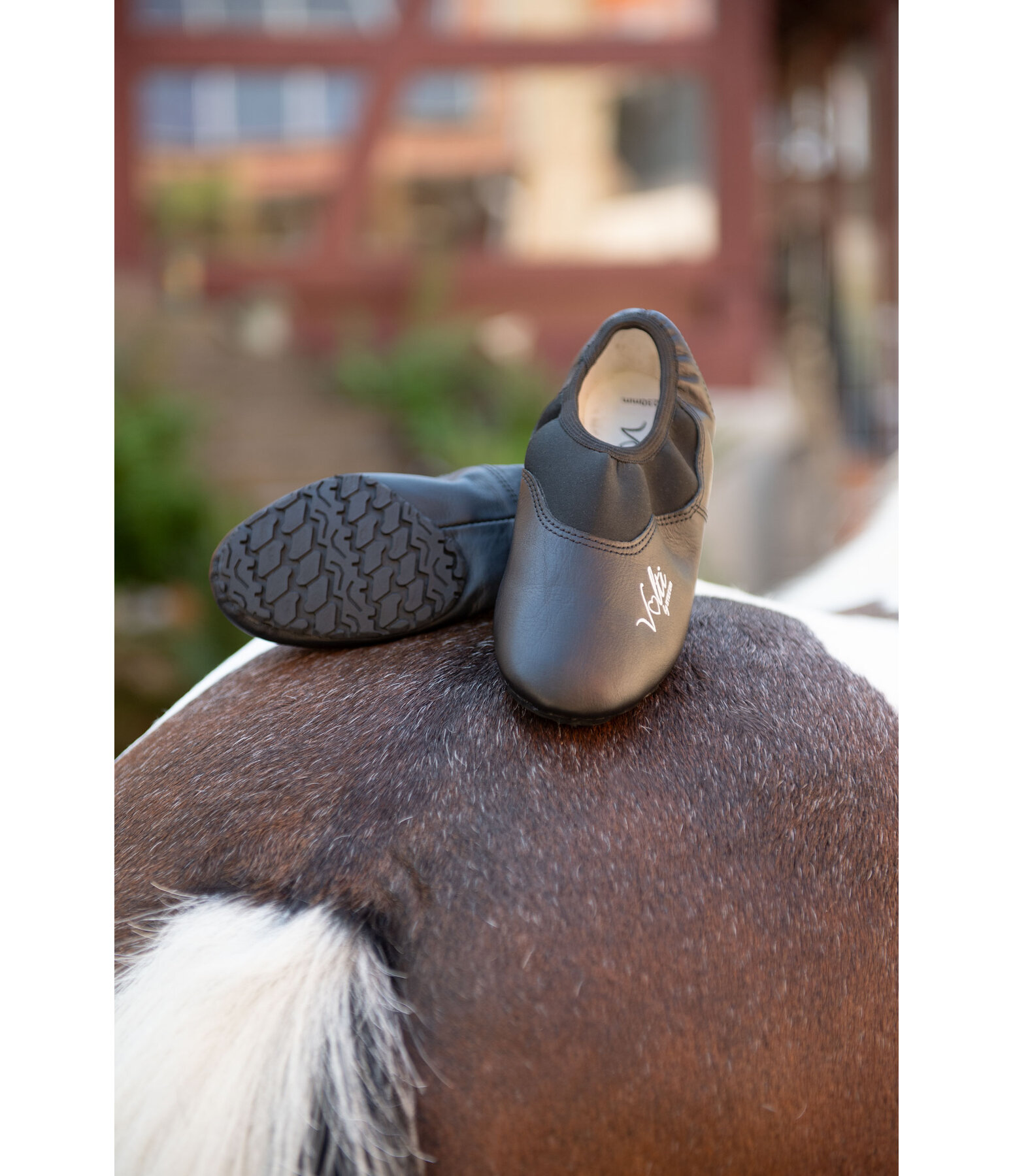 Chaussons de voltige   Expert