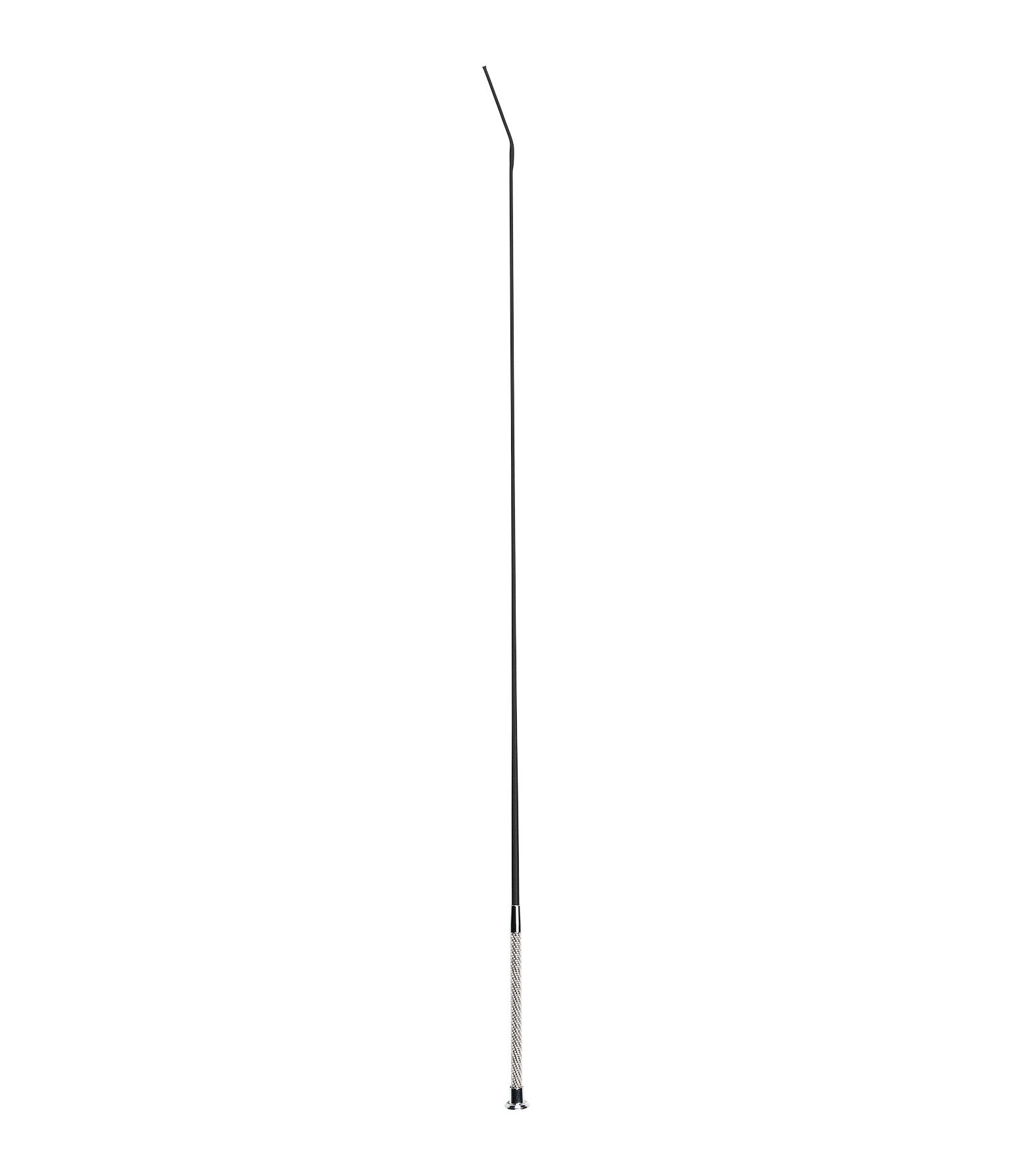 Cravache de dressage  Diamonds