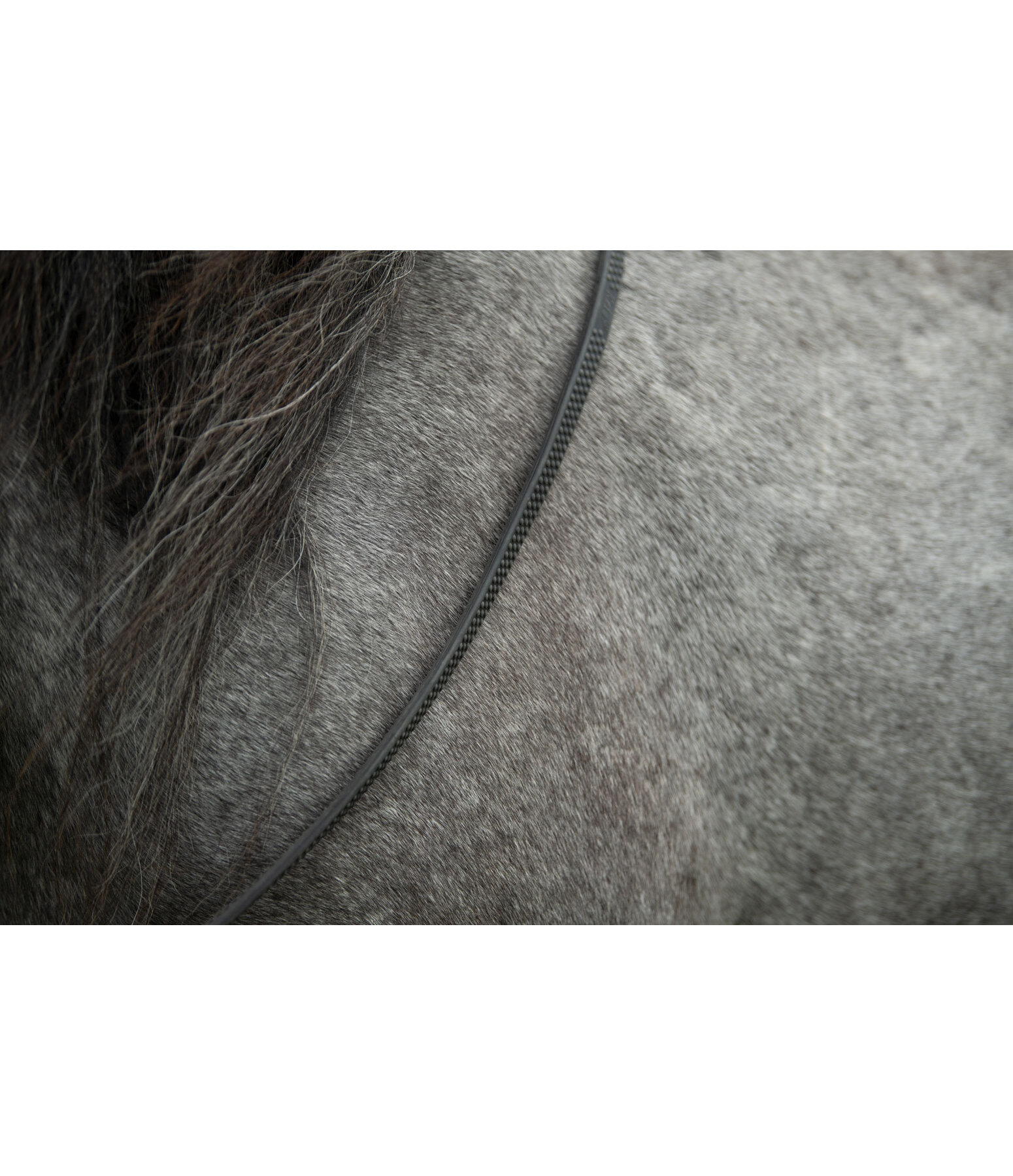 R�nes islandaises super grip