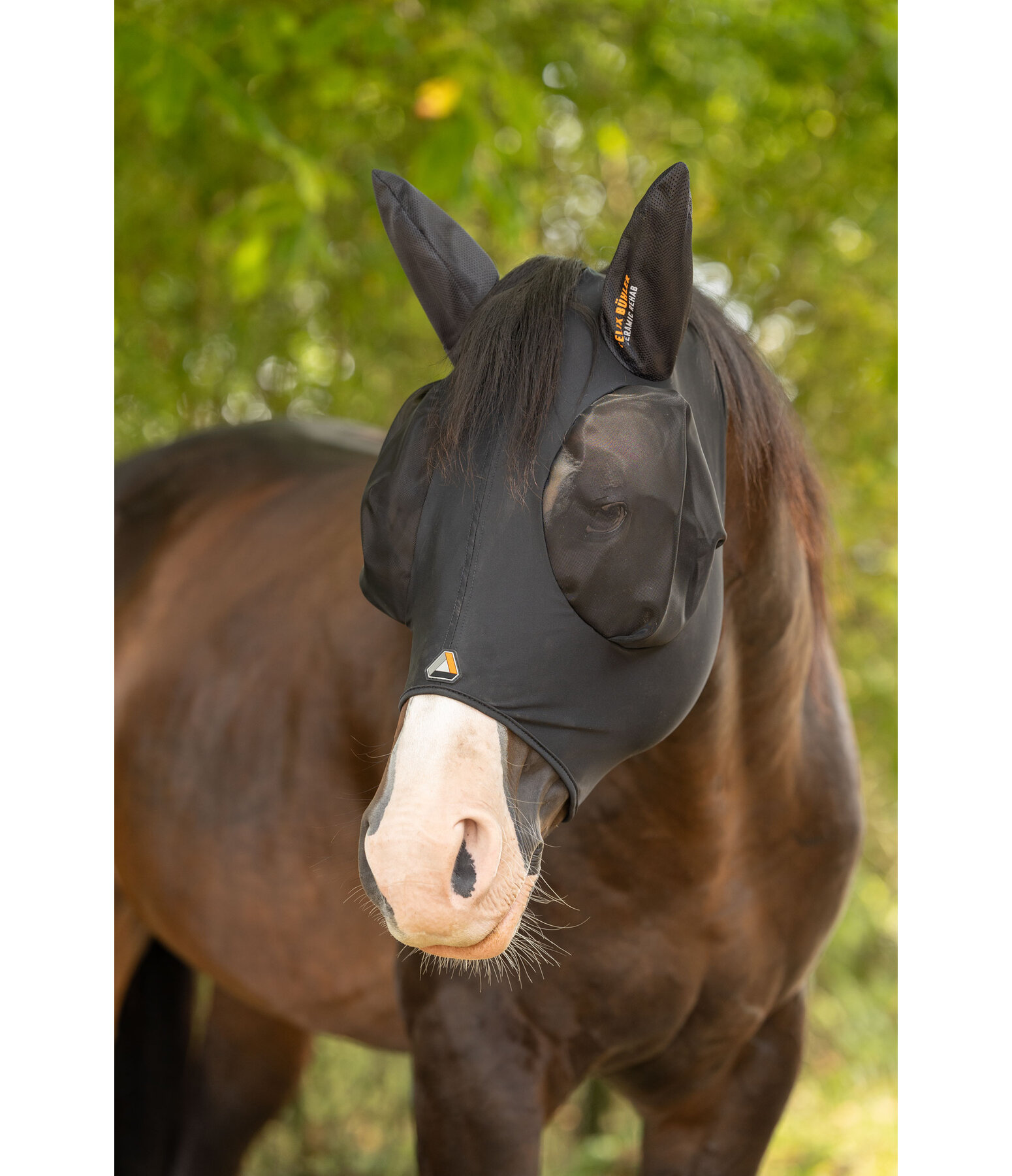 Masque anti-mouche extensible F�lix B�hler Ceramic Rehab