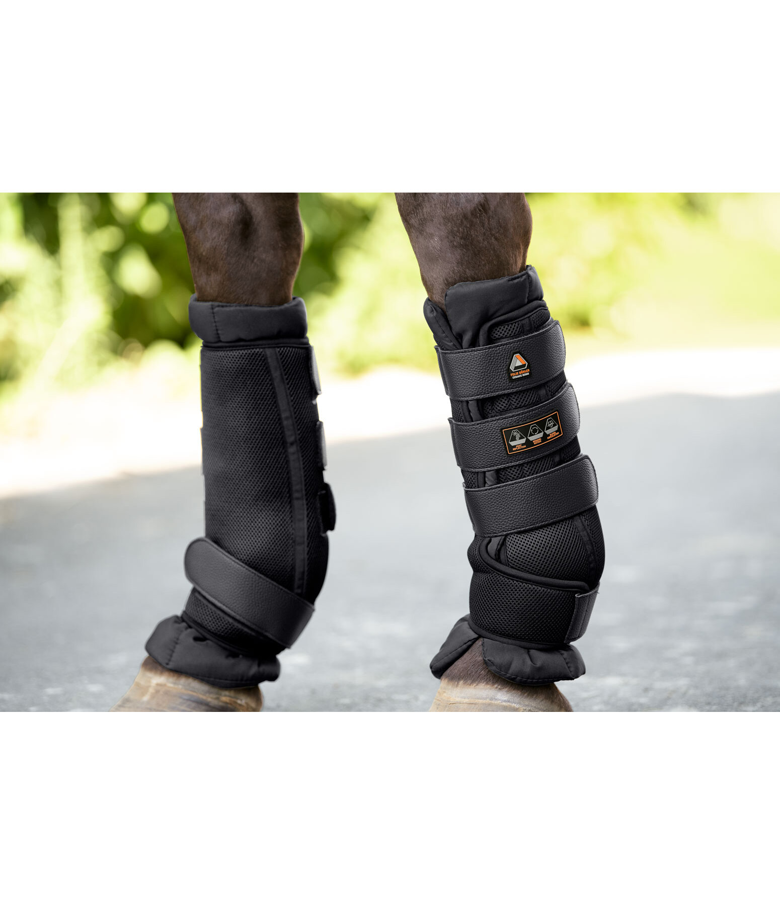 Gu�tres d'�curie d'�t�  Ceramic Rehab