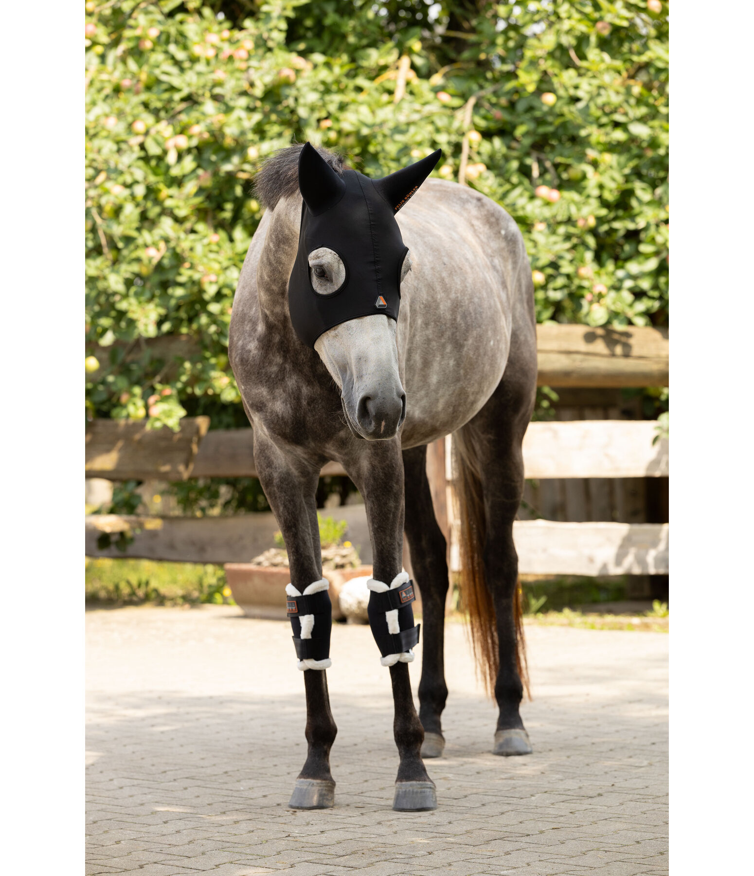 Genouill�re  Ceramic Rehab