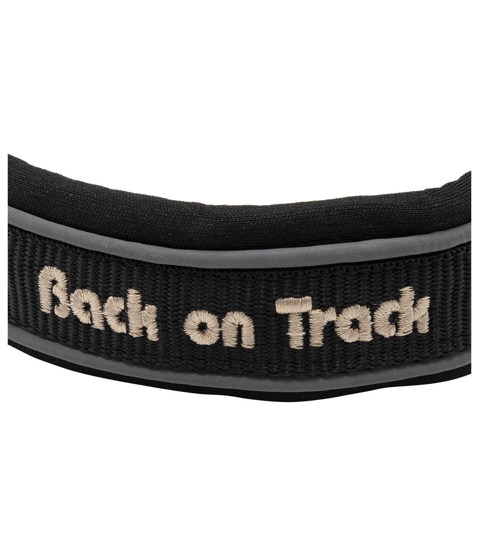 Collier anti-traction pour chien  Charlie