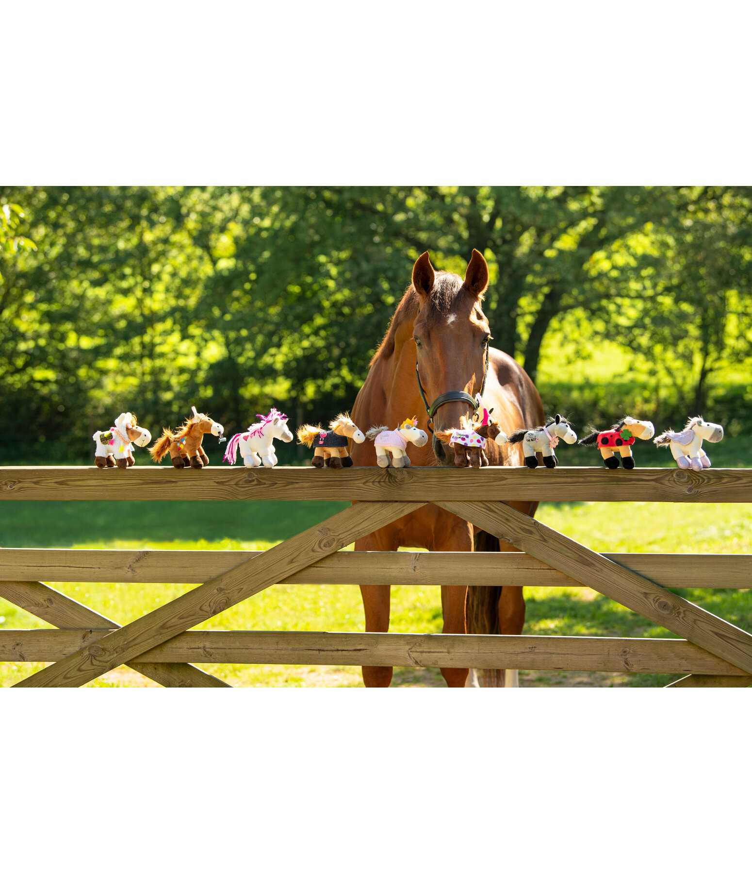 Horsly  Happy Birthday II