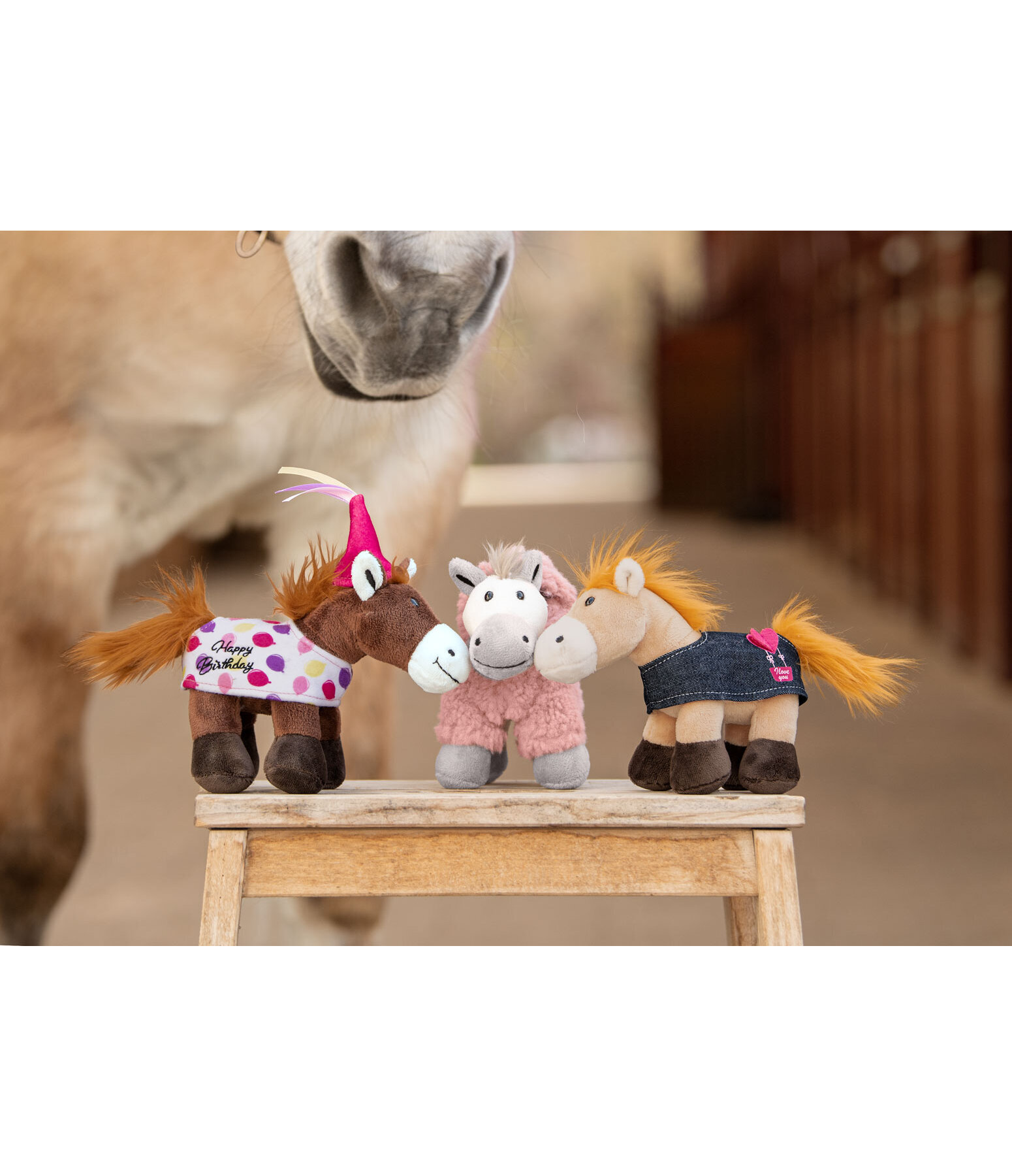 Horsly  Happy Birthday II