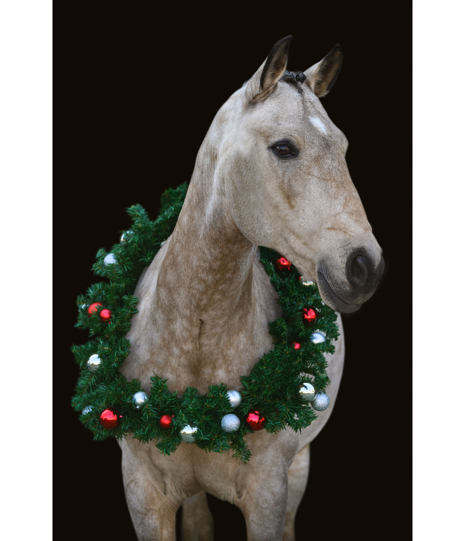 Couronne de Noël cheval Pro  Collection Noël