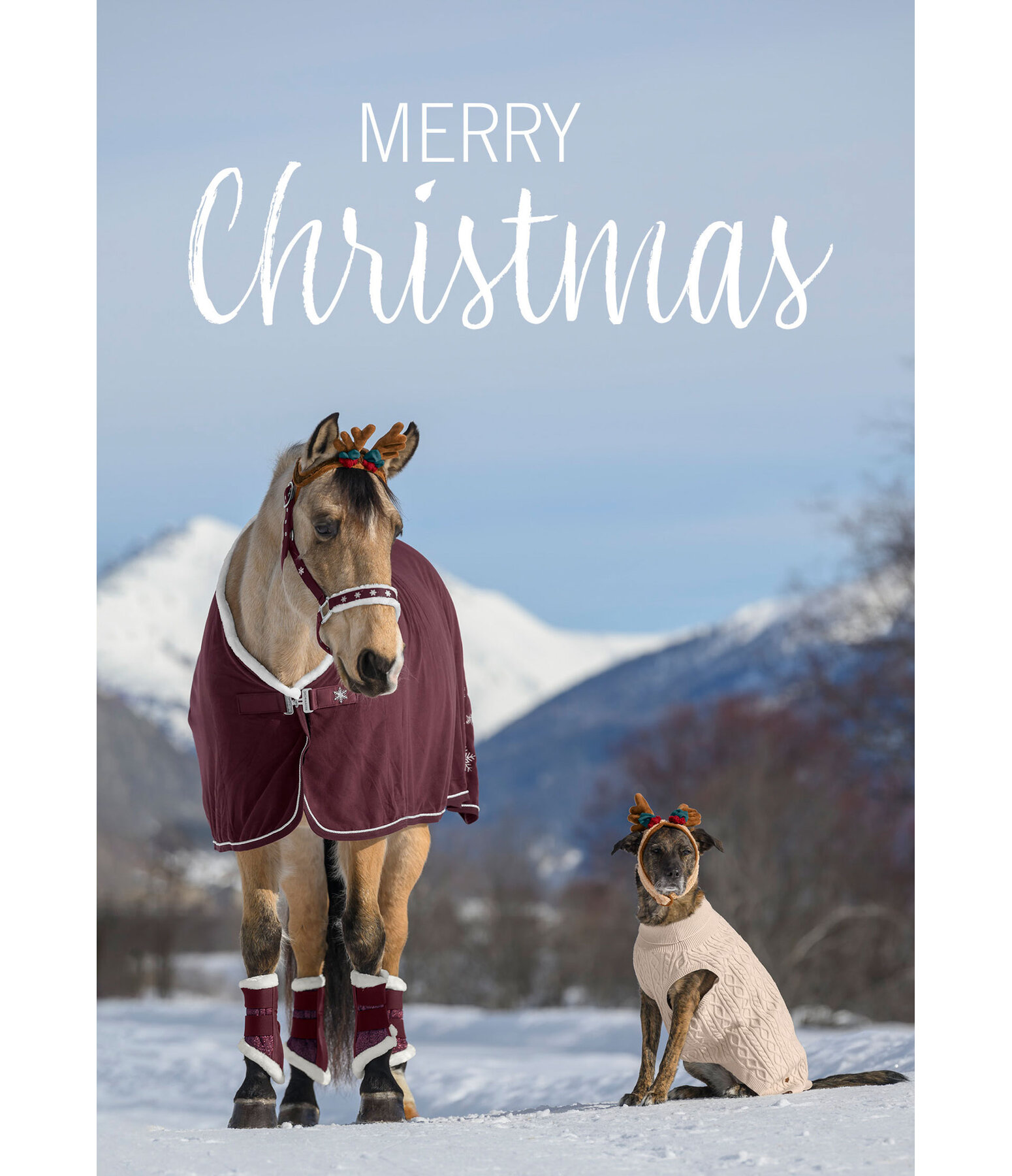 Carte de voux  Merry Christmas